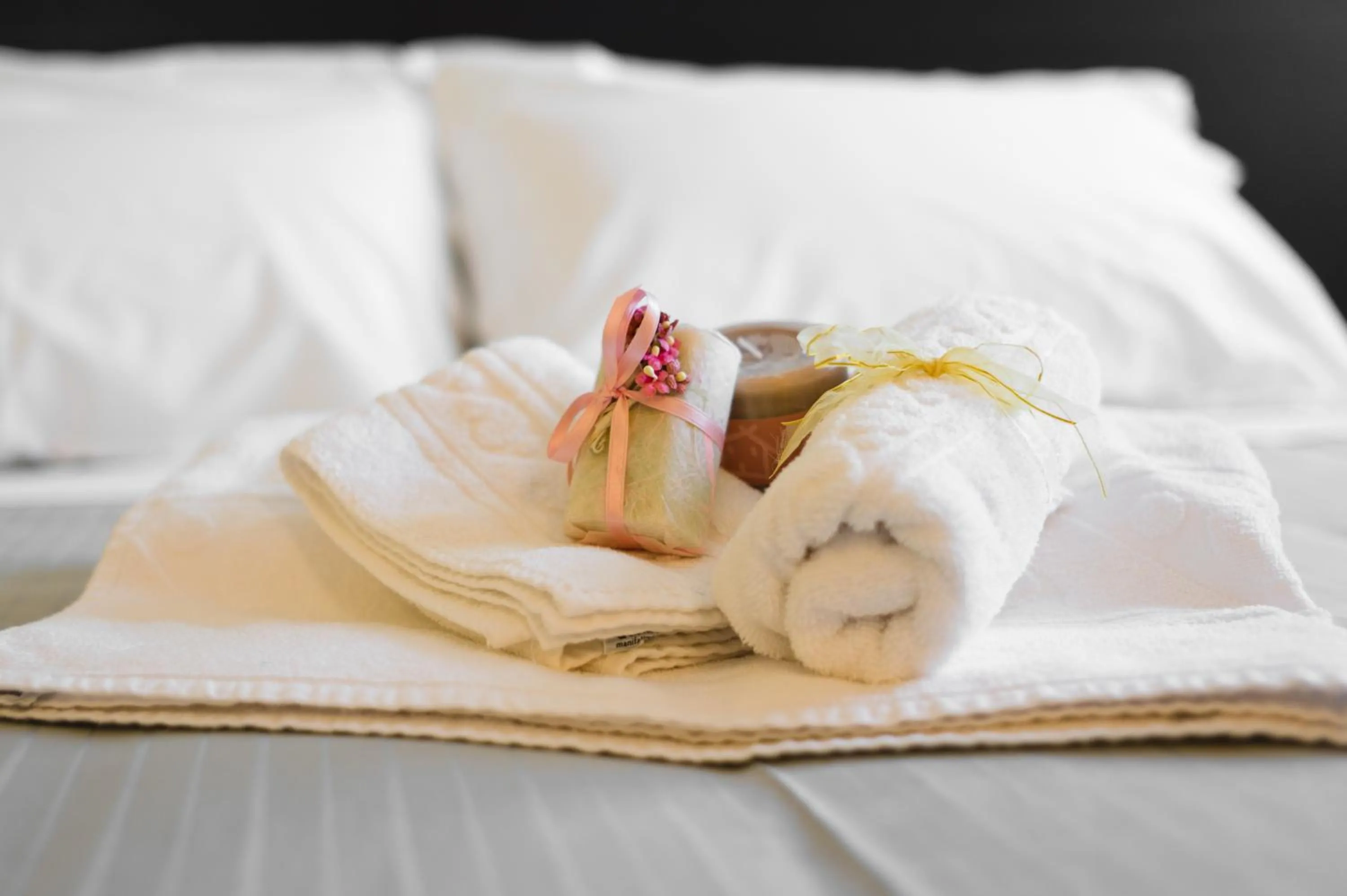 Bed in Hotel Padus Meublè Parma