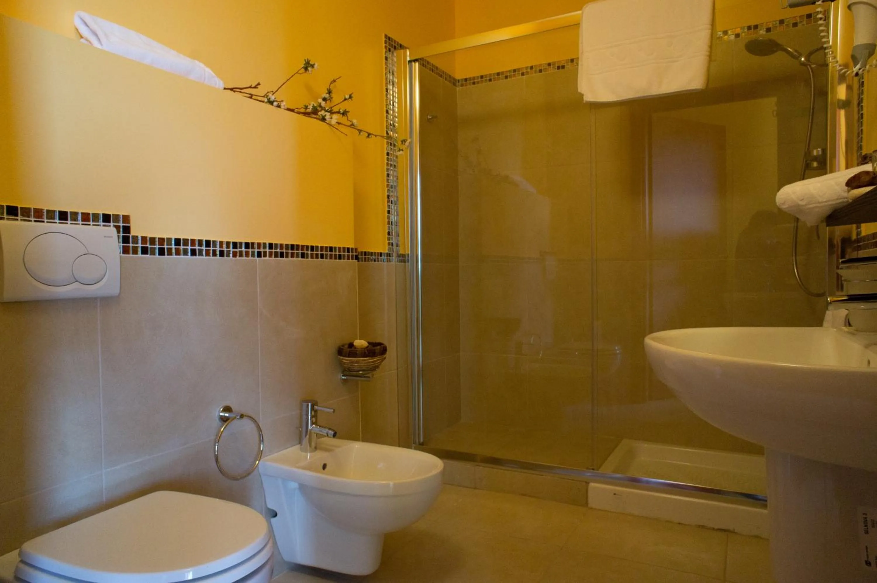 Shower in Hotel Padus Meublè Parma