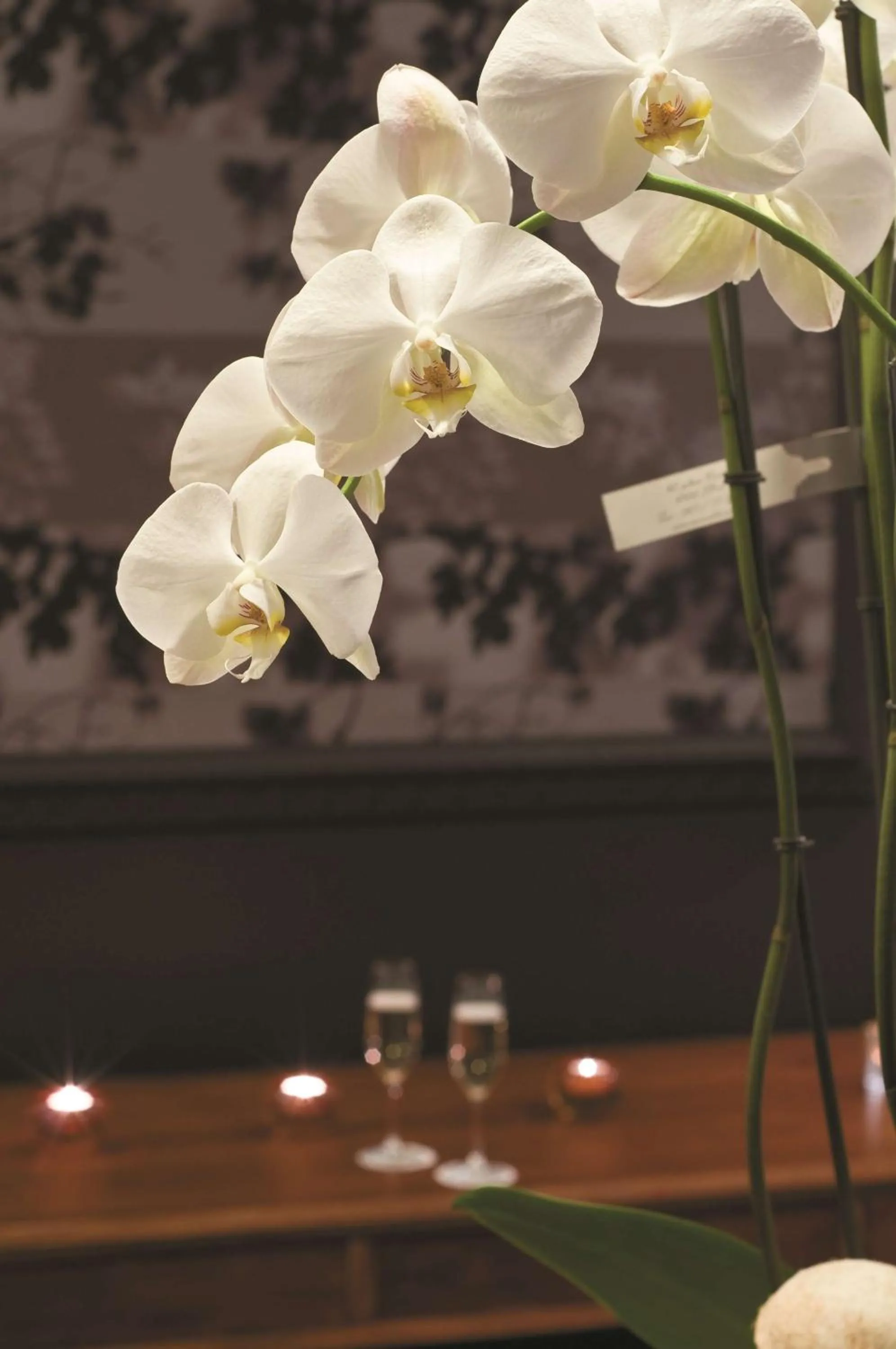 Property building in Radisson BLU Balmoral