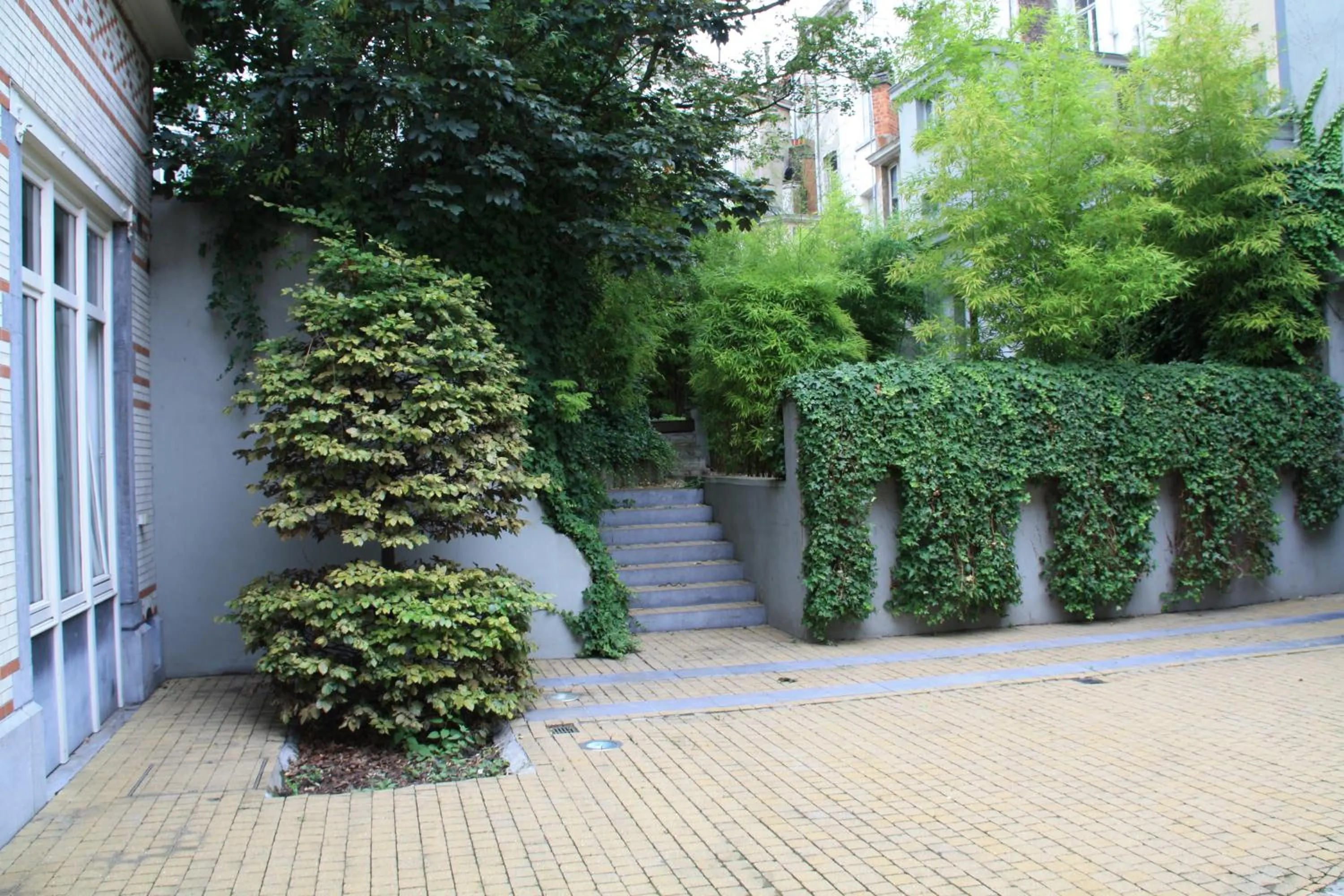 Garden in Hotel Du Congres