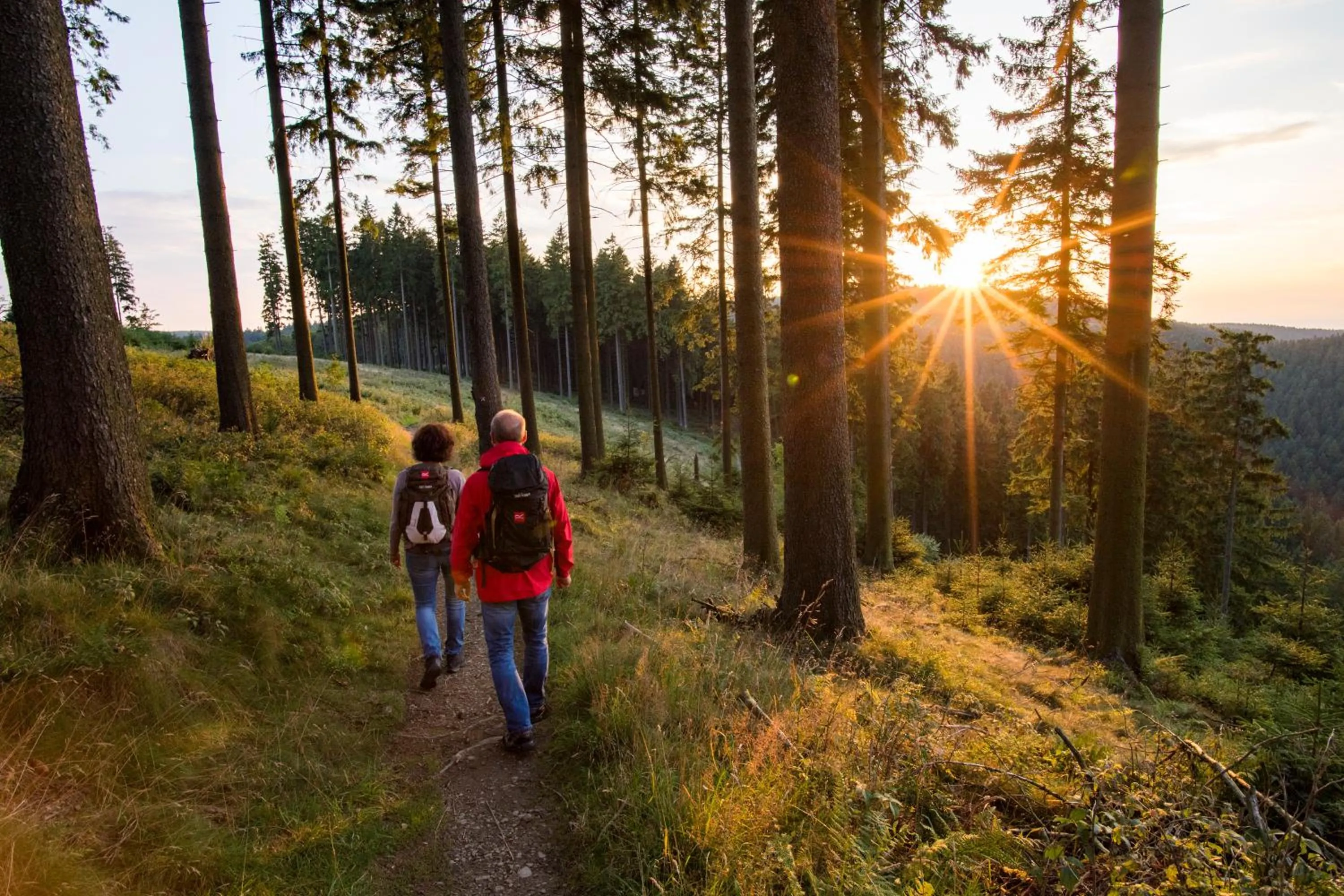 Hiking in Hotel Rech
