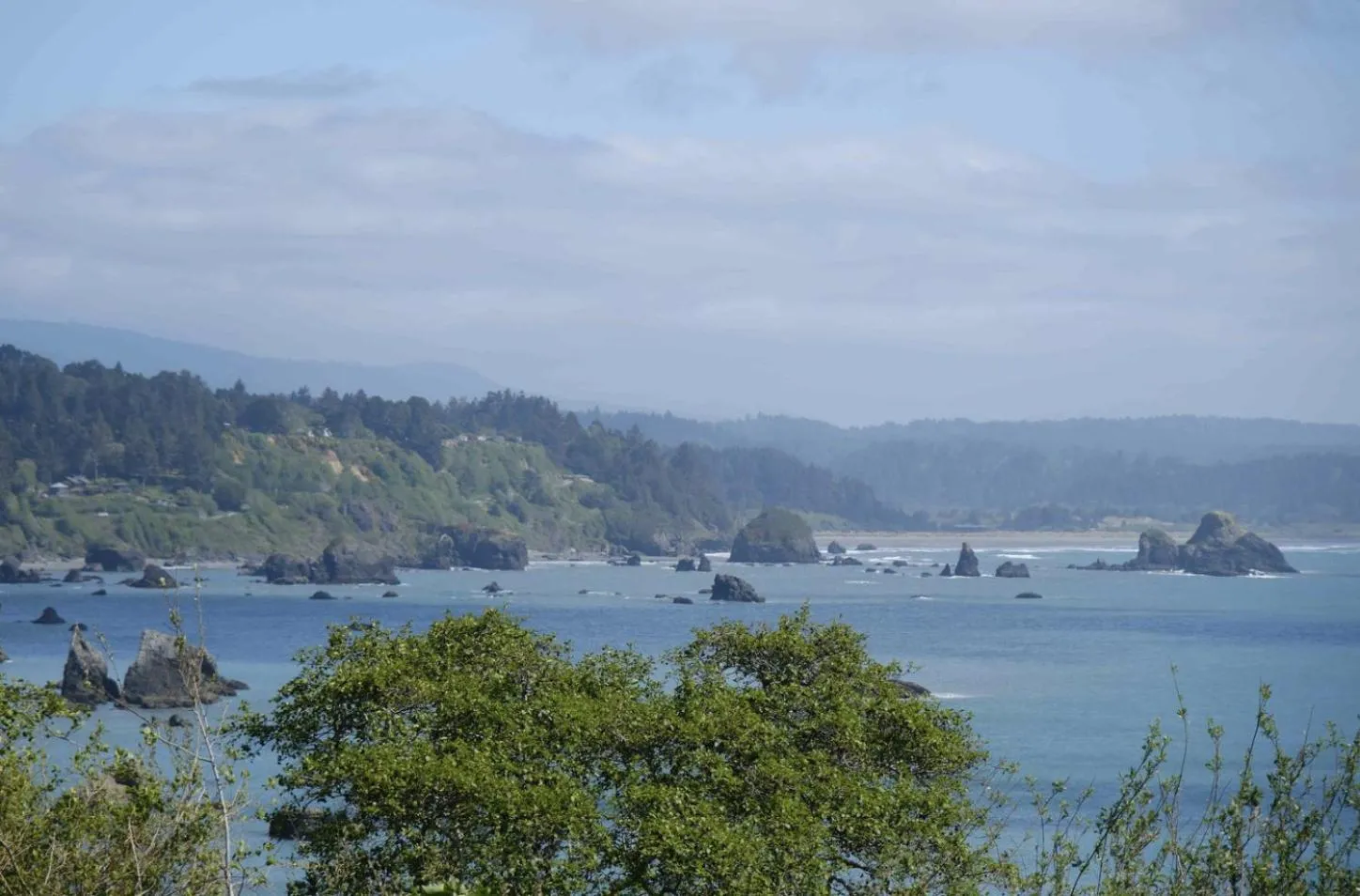 Natural landscape in Lookout At Trinidad Bay