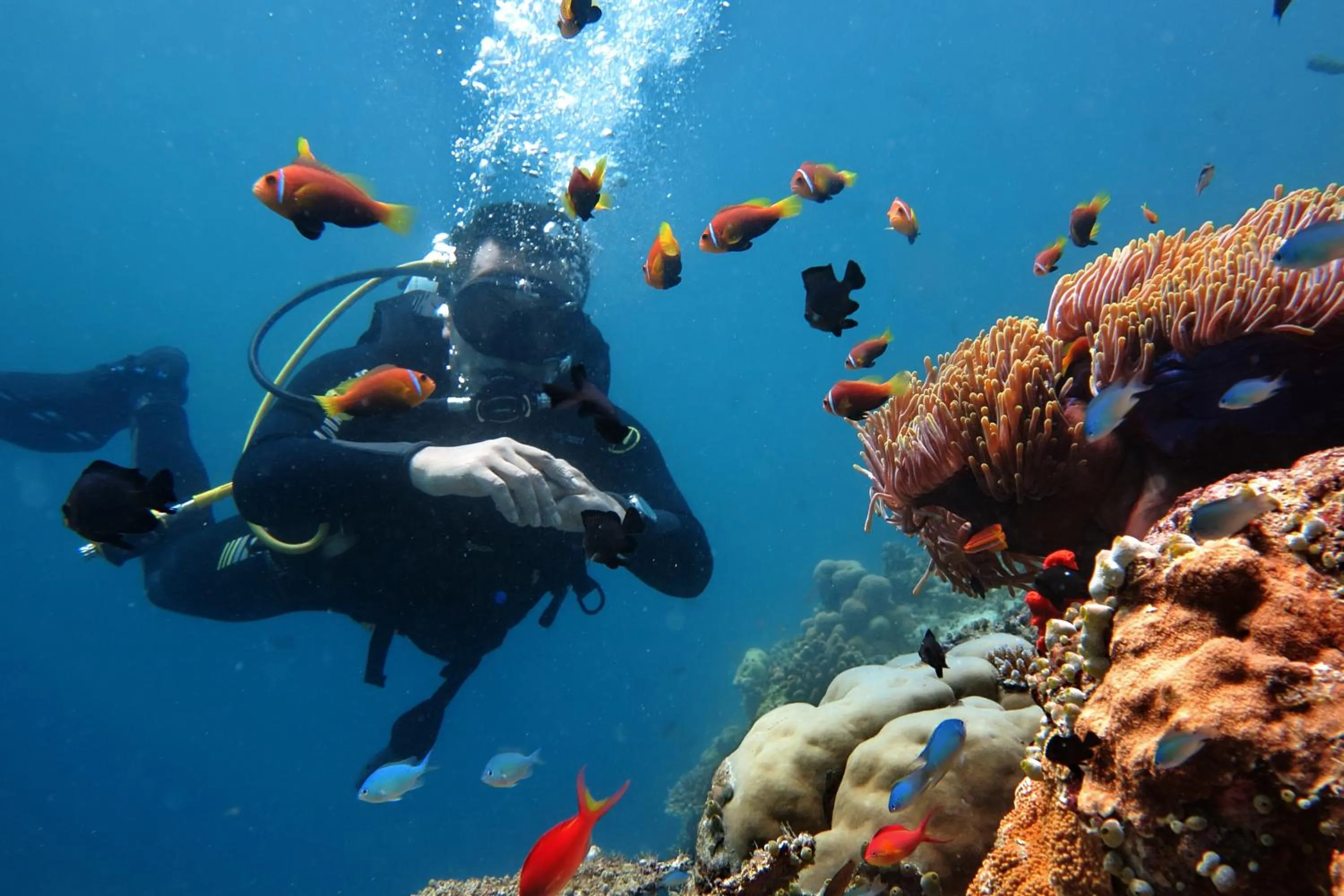 Diving in Kaani Grand Seaview