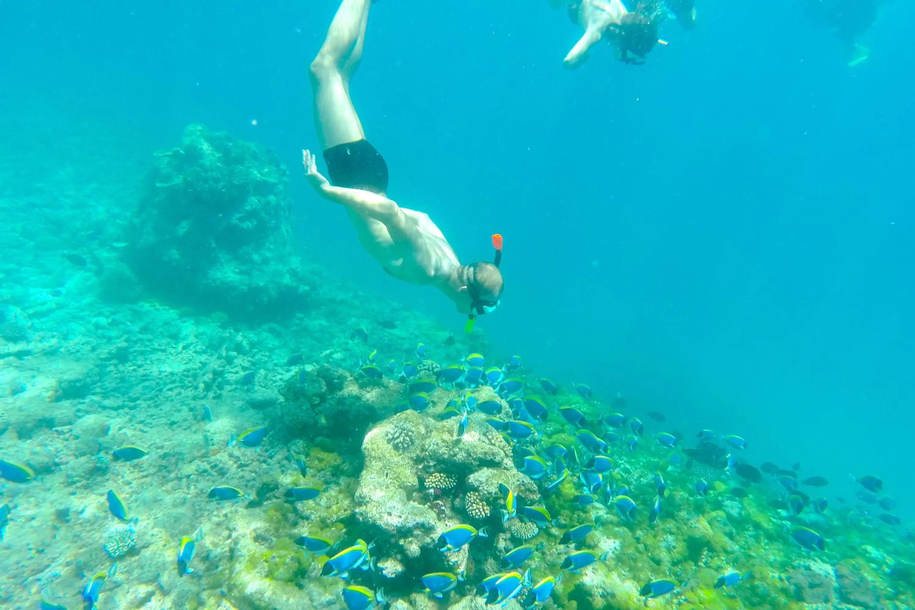 Snorkeling in Kaani Grand Seaview