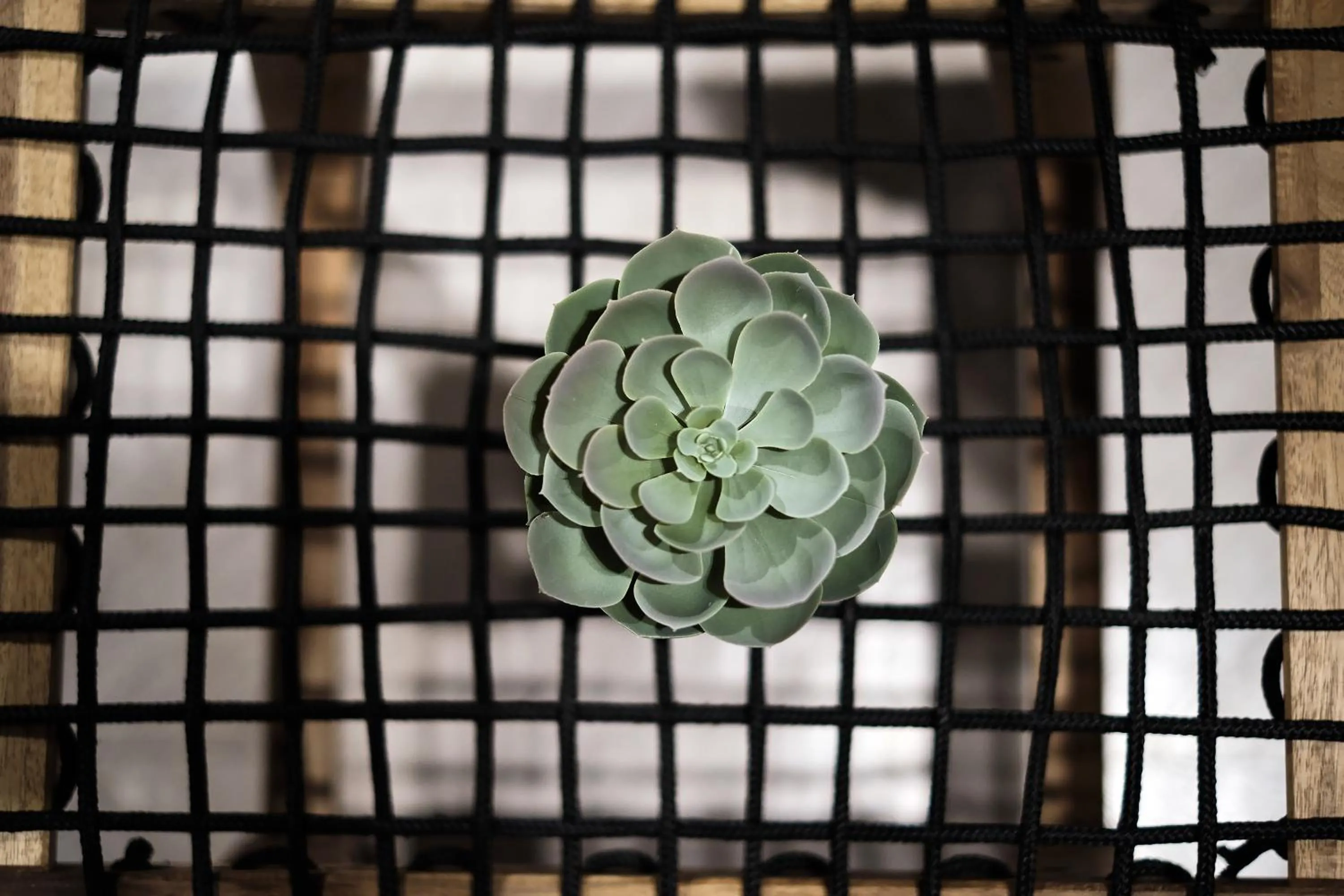 Decorative detail in Narawad Boutique Hotel