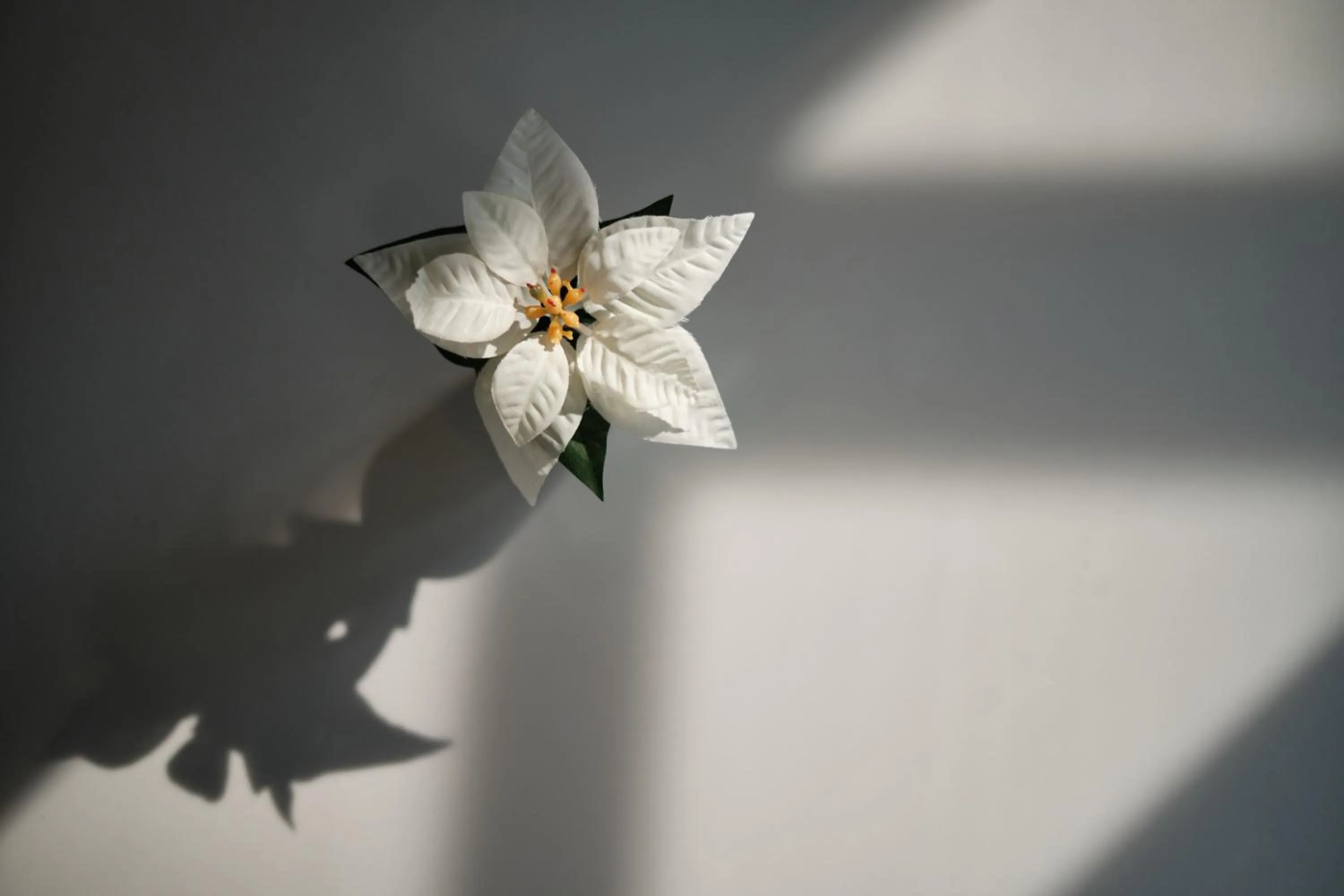 Restaurant/places to eat in Narawad Boutique Hotel