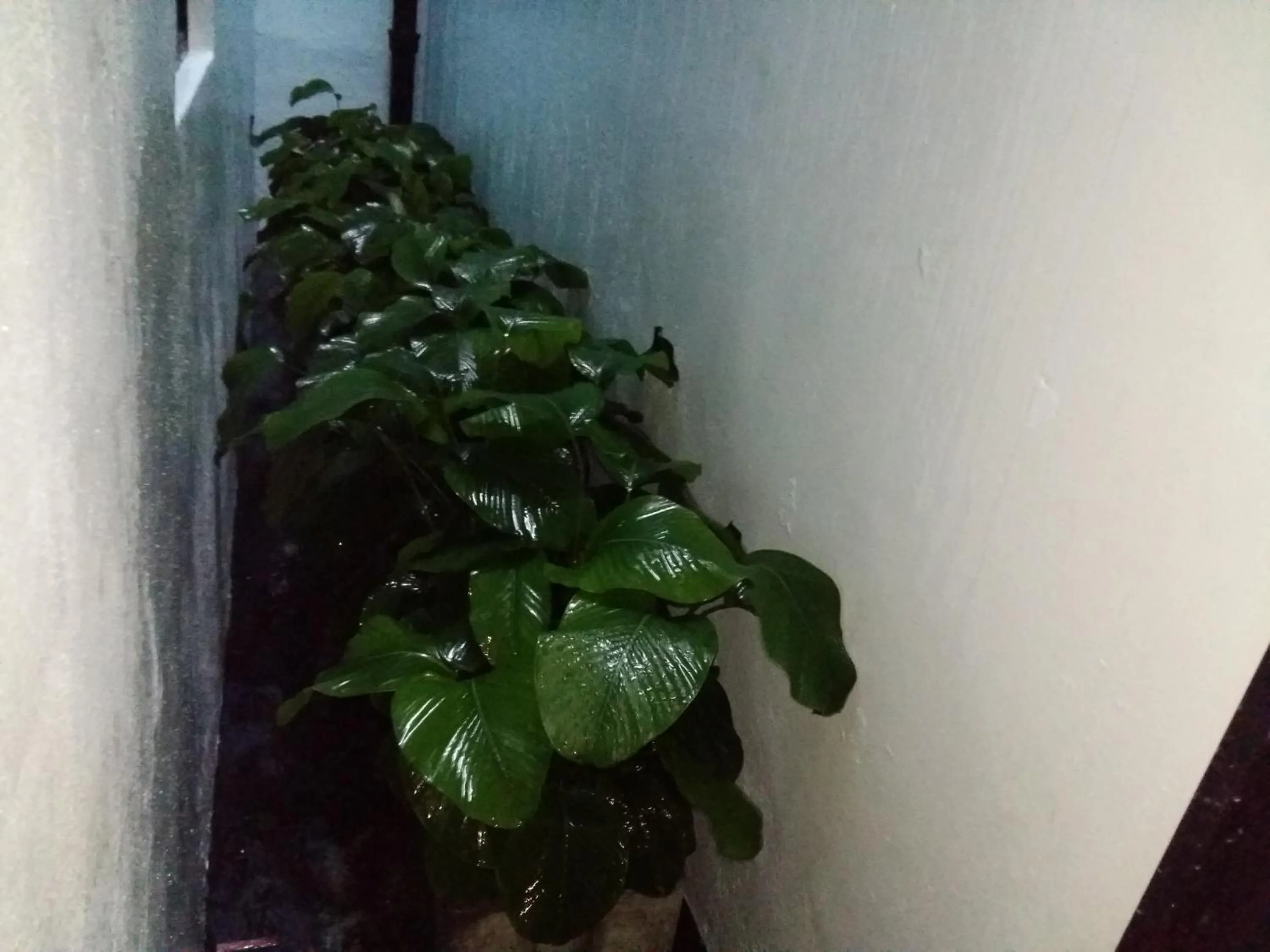 Area and facilities in Brick Box Hotel @ Oldtown Ipoh