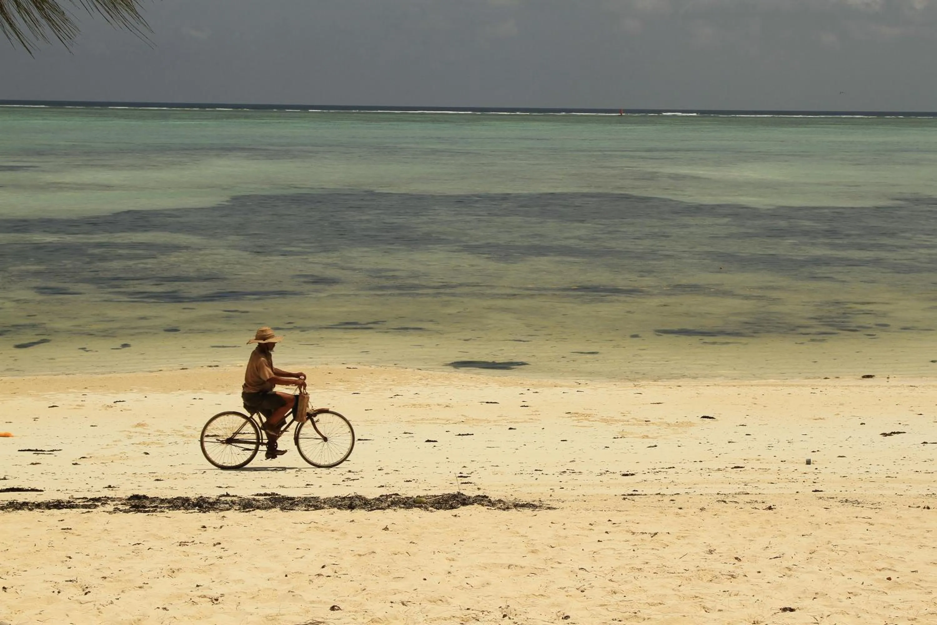 Beach in Ujamaa Beach Resort