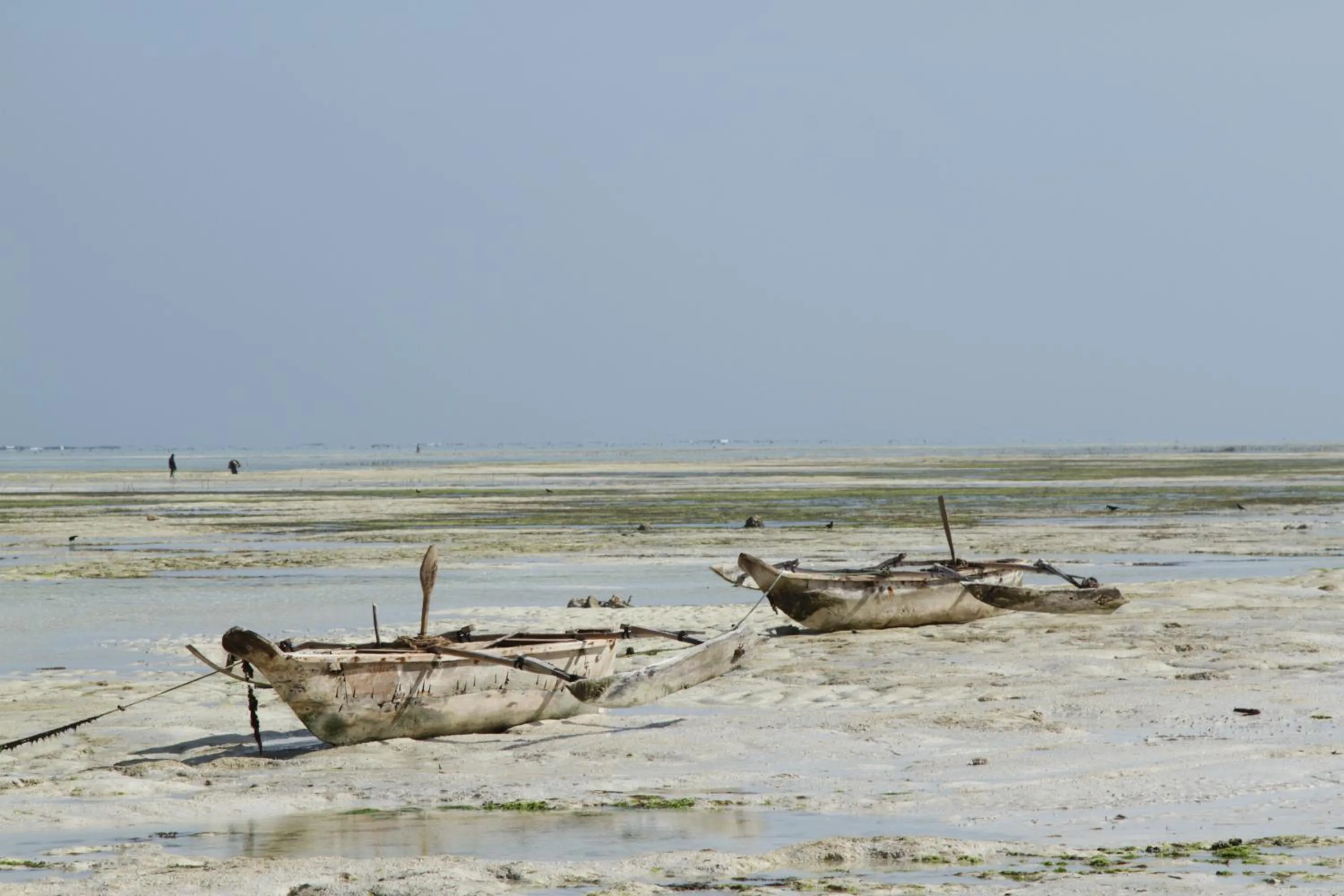 Beach in Ujamaa Beach Resort