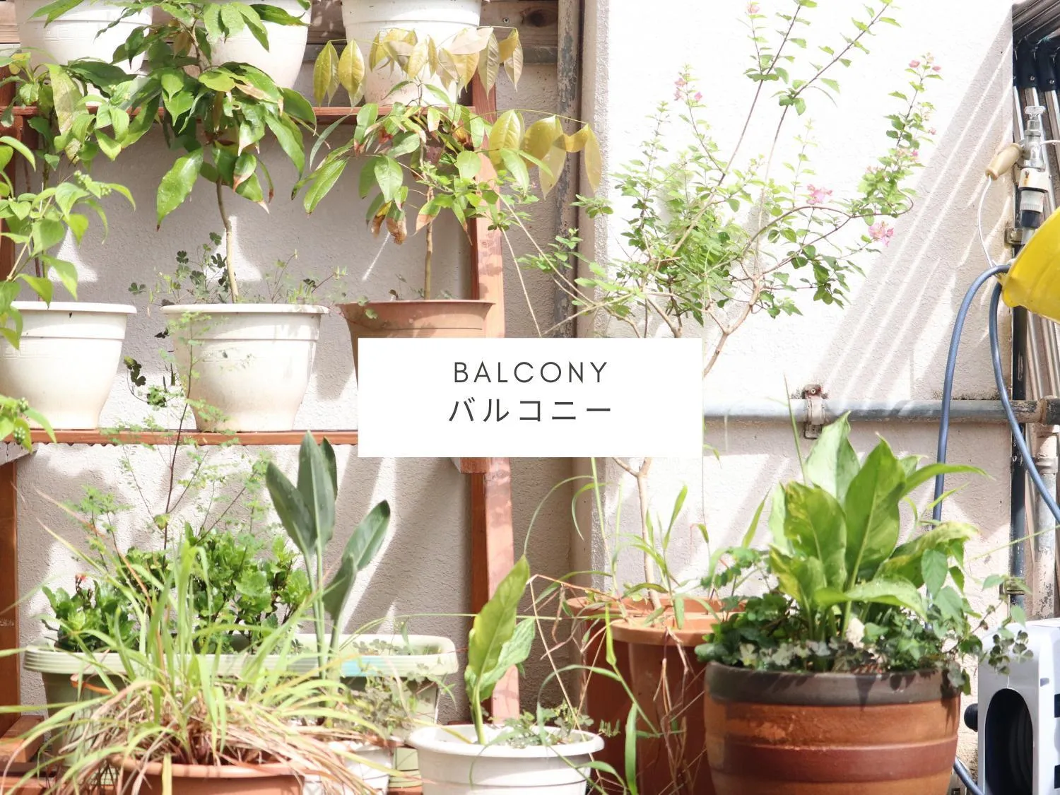 Balcony/Terrace in ALL FRIENDS Guest House