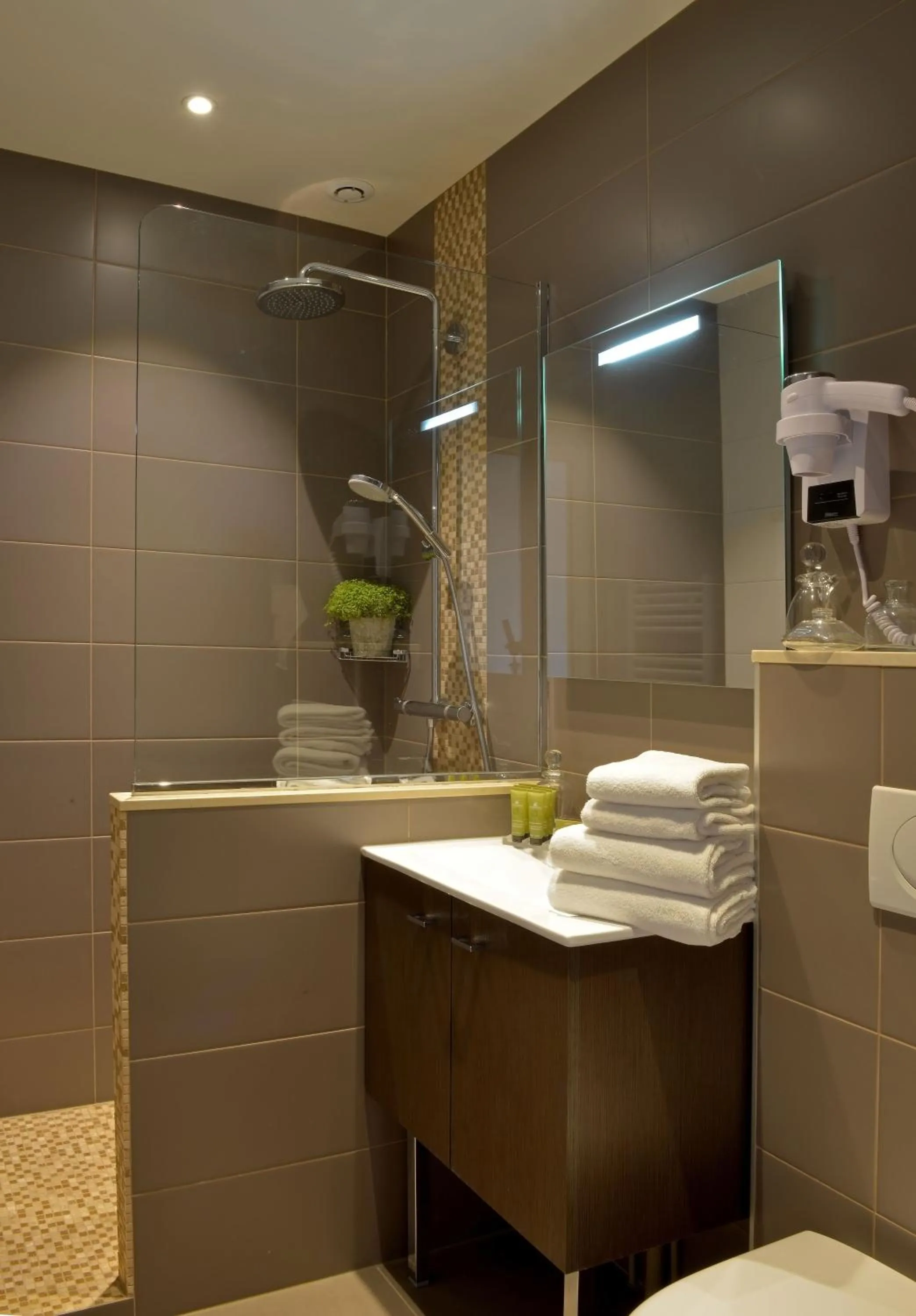 Shower in Hôtel Le Fer à Cheval