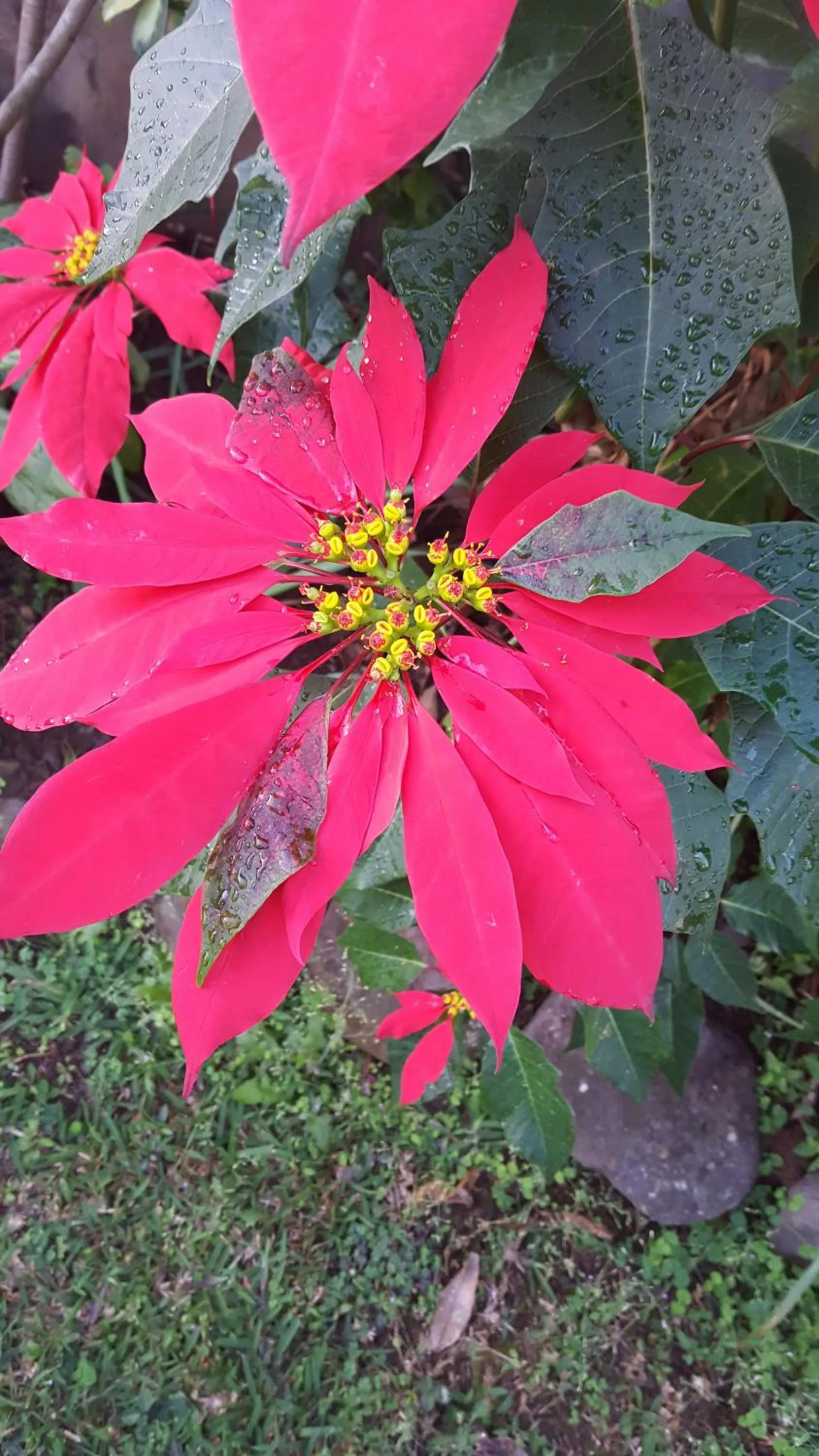 Property building in GITE-Hotel LA CAZ DES ORANGERS