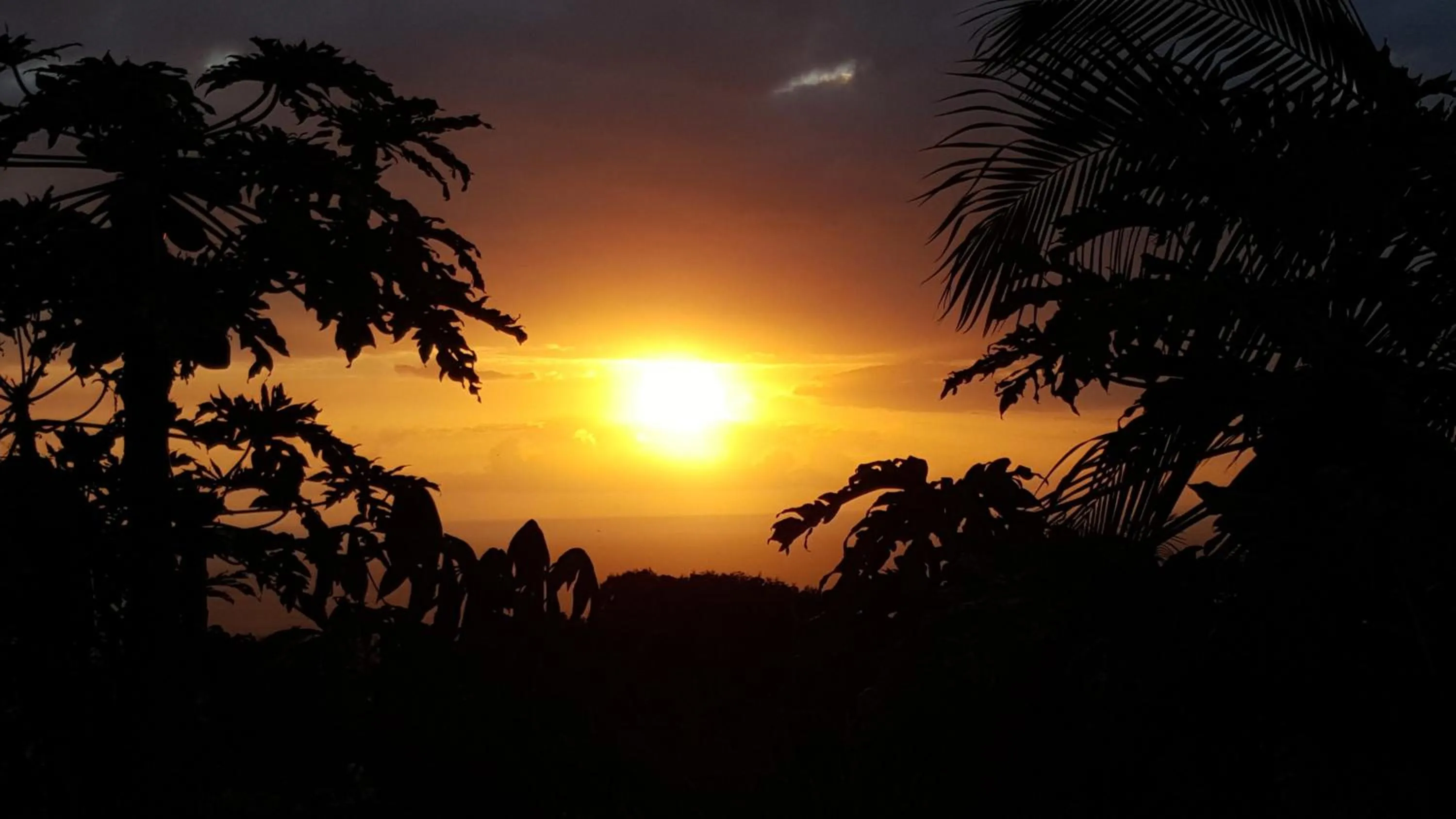 Property building in GITE-Hotel LA CAZ DES ORANGERS