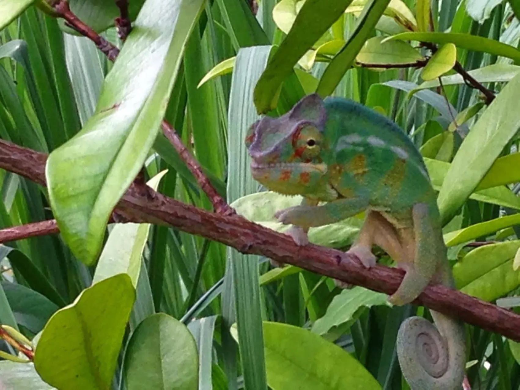 Property building in GITE-Hotel LA CAZ DES ORANGERS