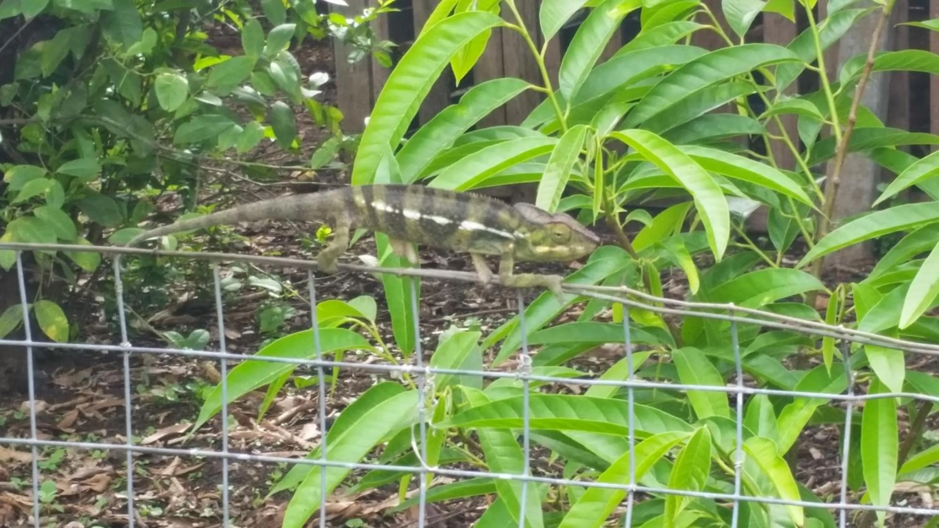 Property building in GITE-Hotel LA CAZ DES ORANGERS