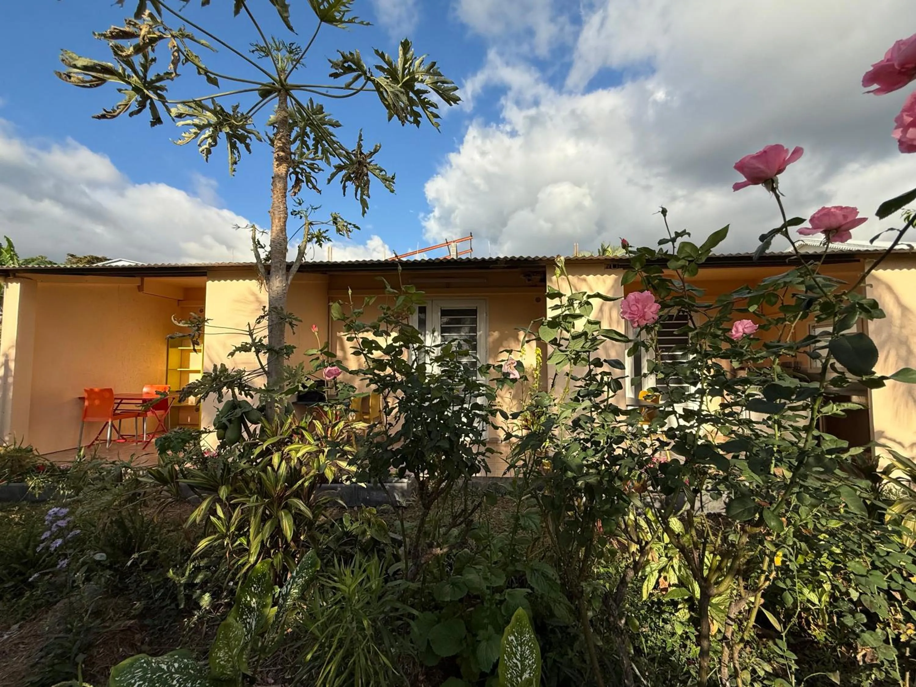 GITE-Hotel LA CAZ DES ORANGERS