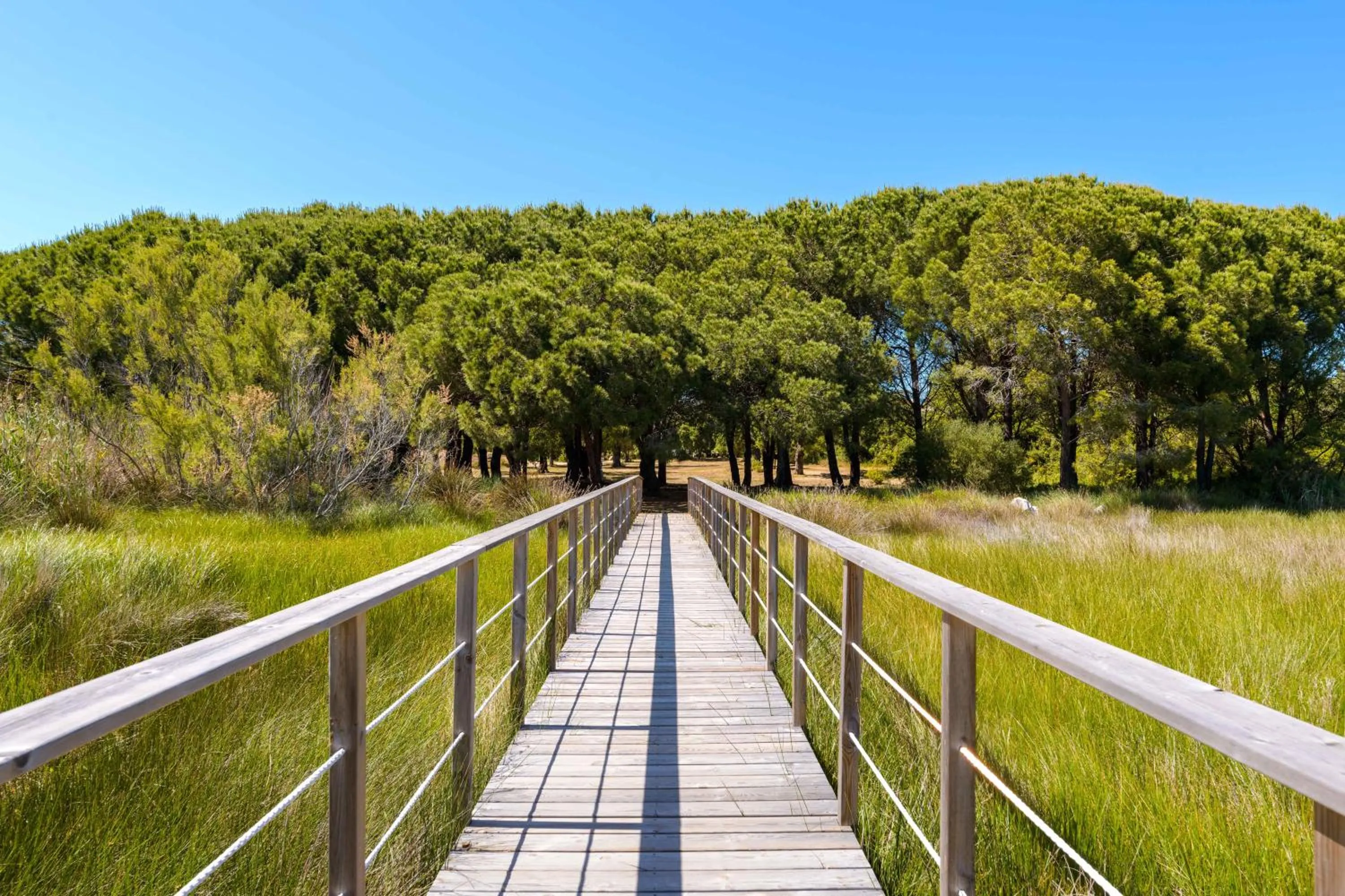 Garden in Hotel U Paesolu