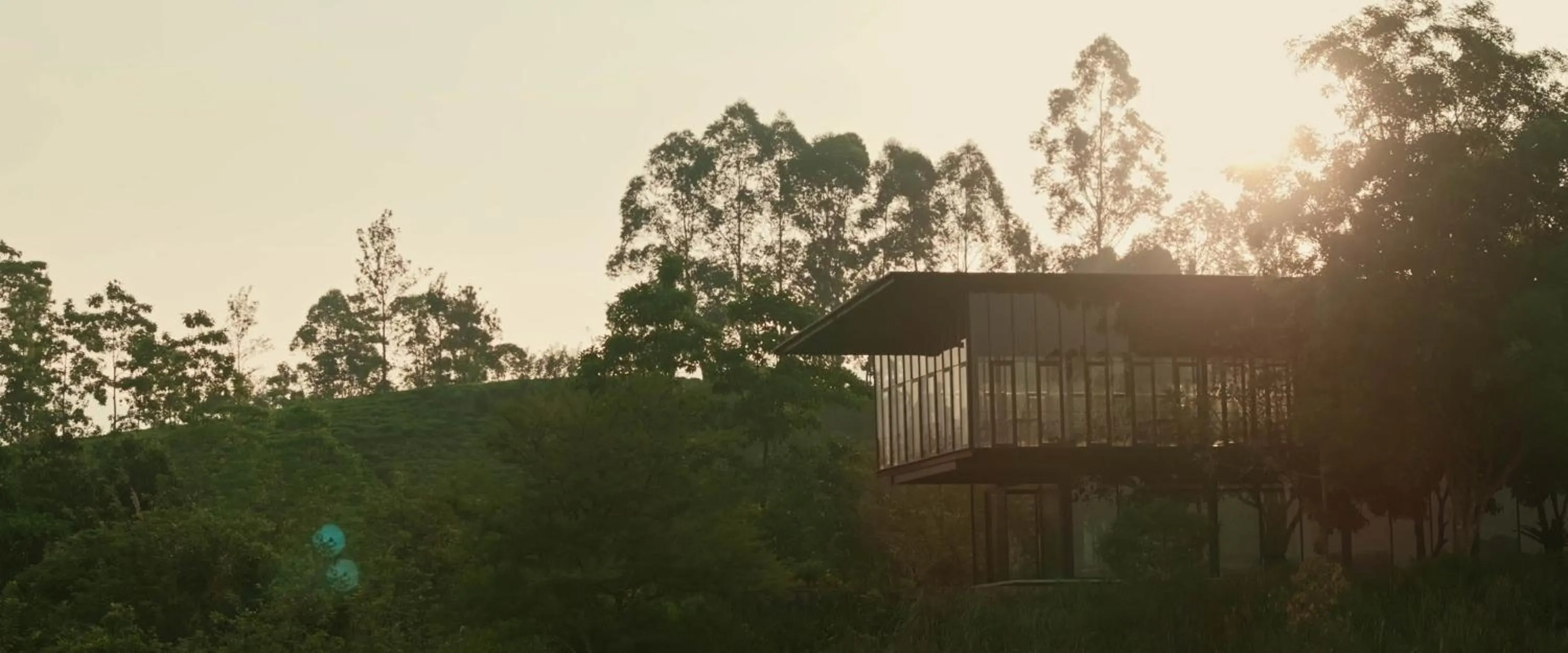 Bird's eye view in Santani Wellness Kandy