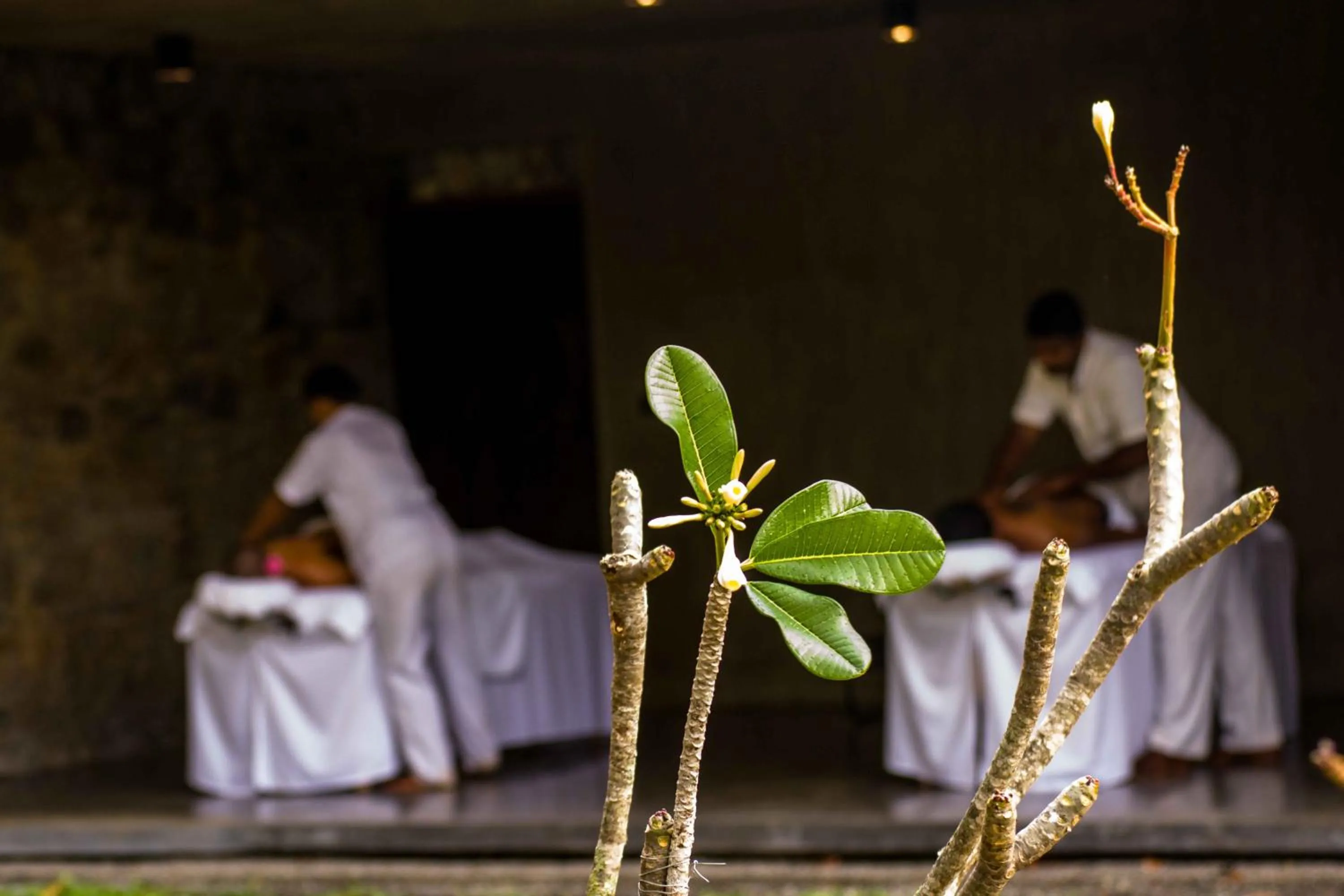 Massage in Santani Wellness Kandy
