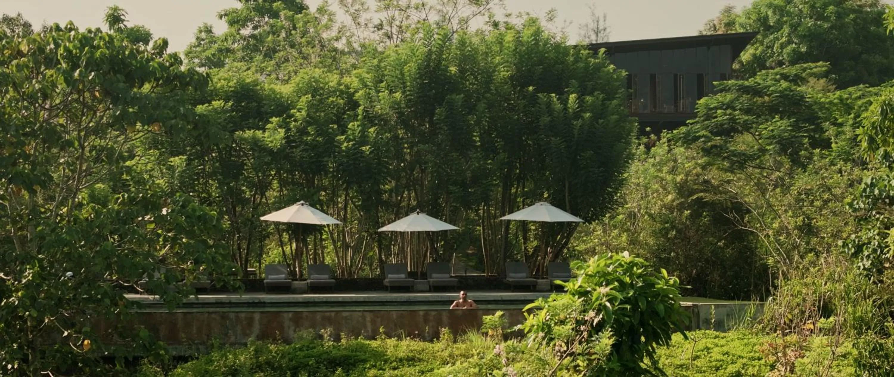 Swimming pool in Santani Wellness Kandy