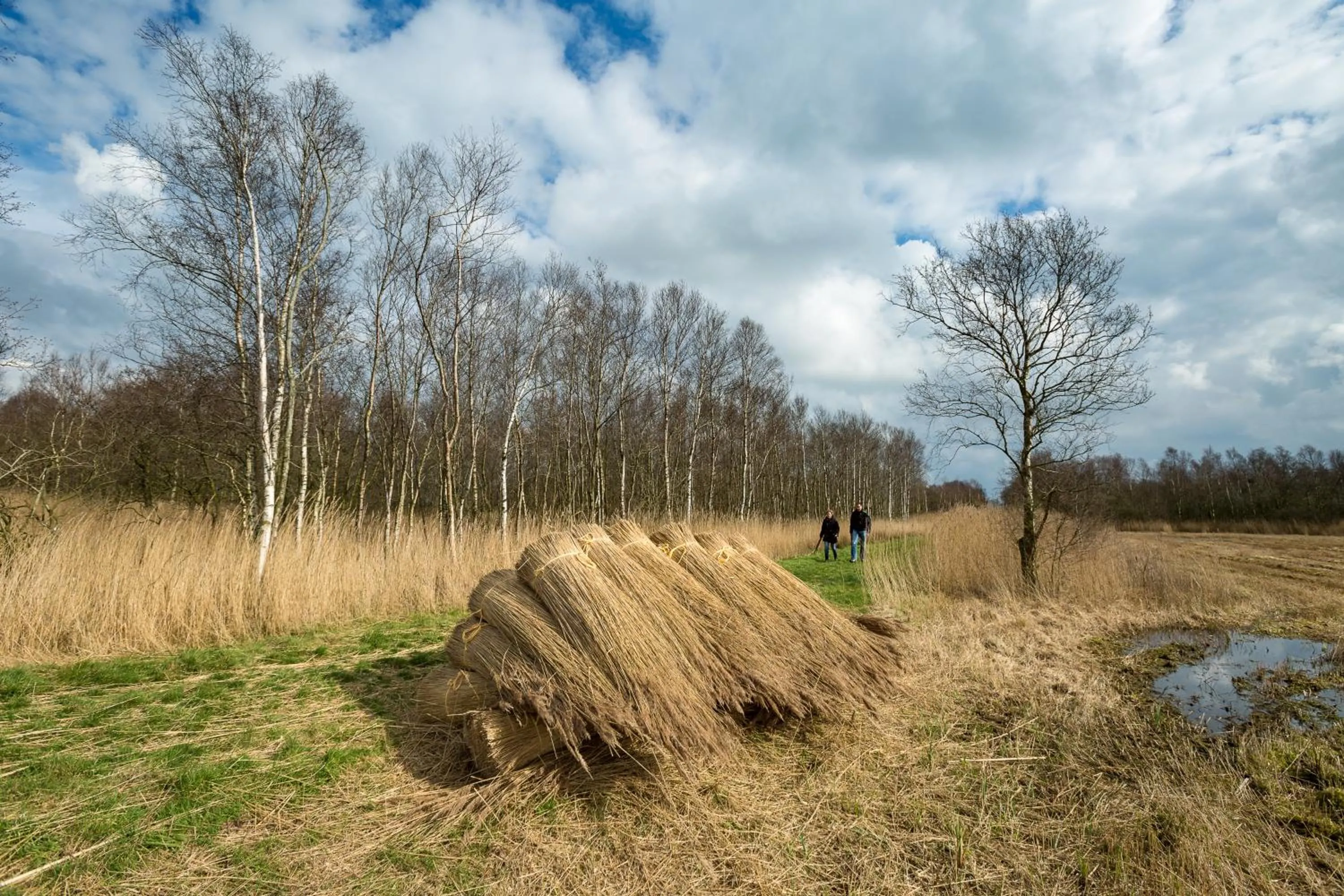 Natural landscape in Woonboot Sweltsje