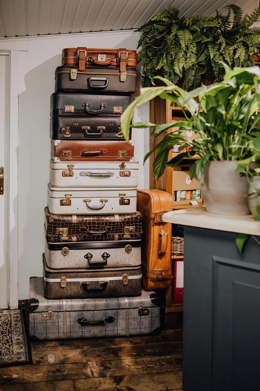 Lobby or reception in Hotel Rose Red