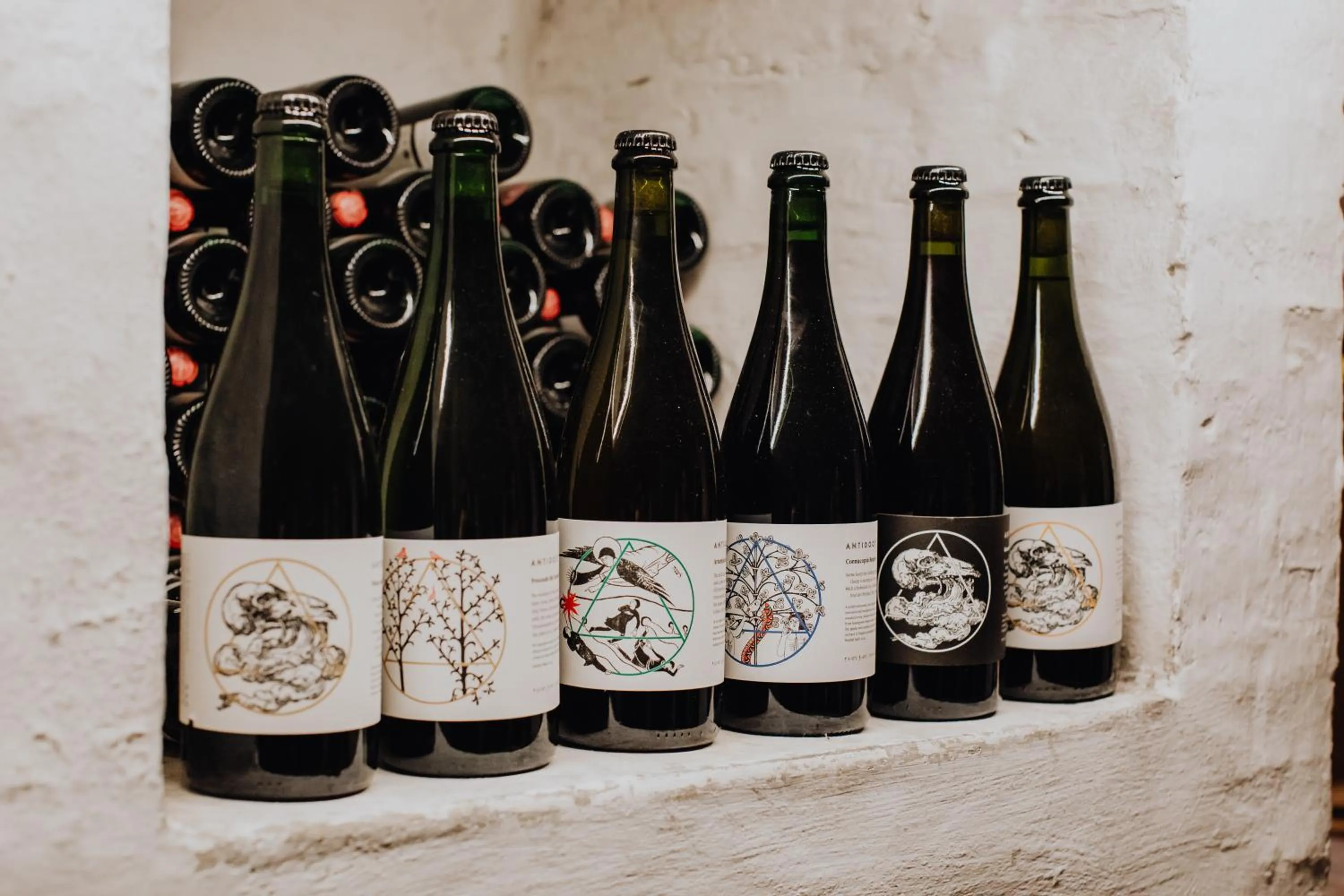 Drinks in Hotel Rose Red