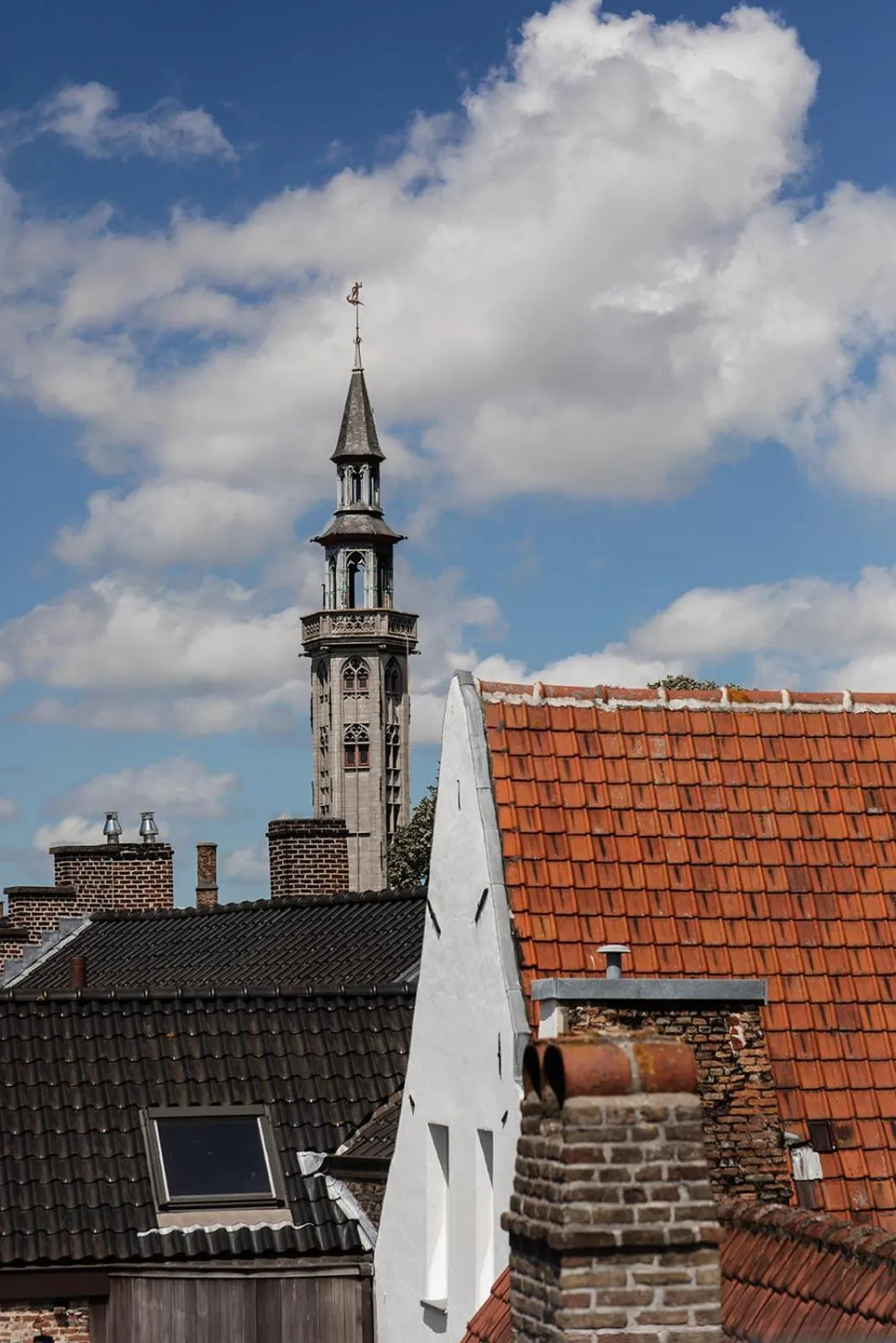 View (from property/room) in Hotel Rose Red