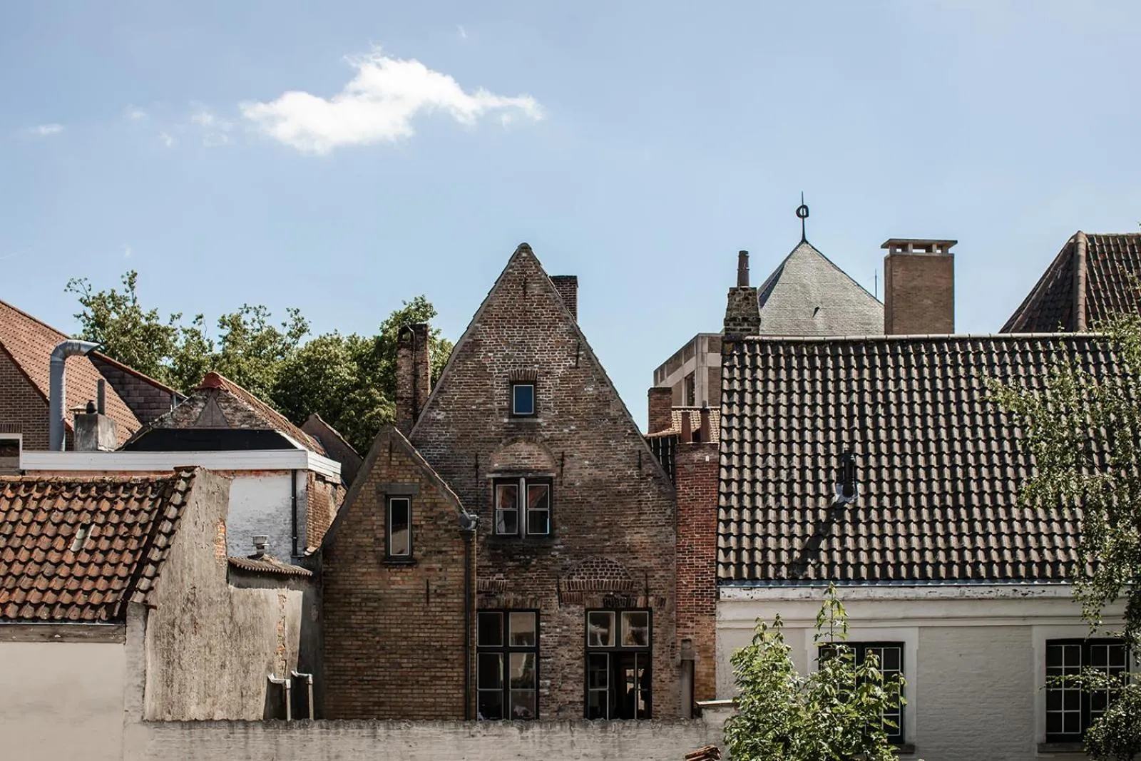 View (from property/room) in Hotel Rose Red