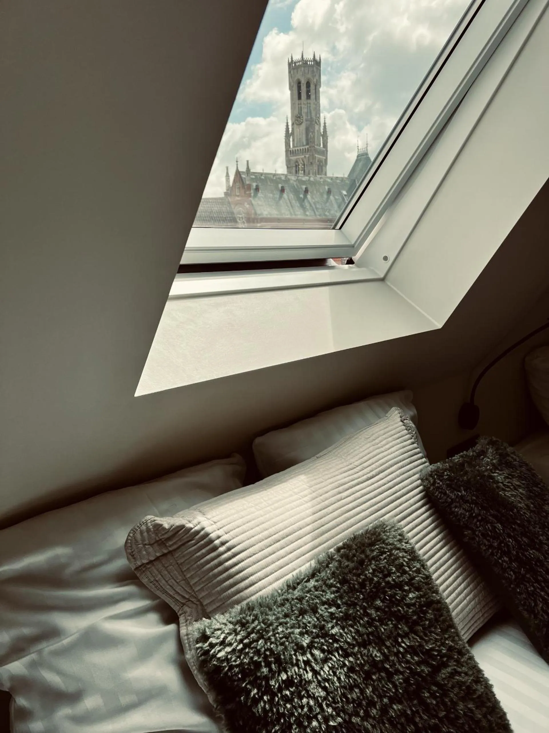 Standard Double Room with Belfry View in Hotel Rose Red