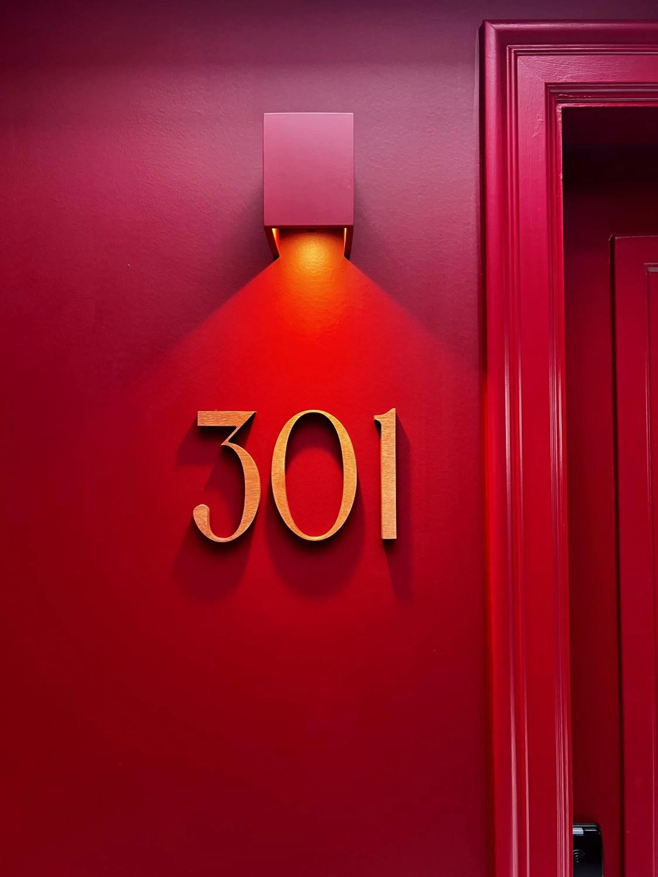 Standard Double Room in Hotel Rose Red