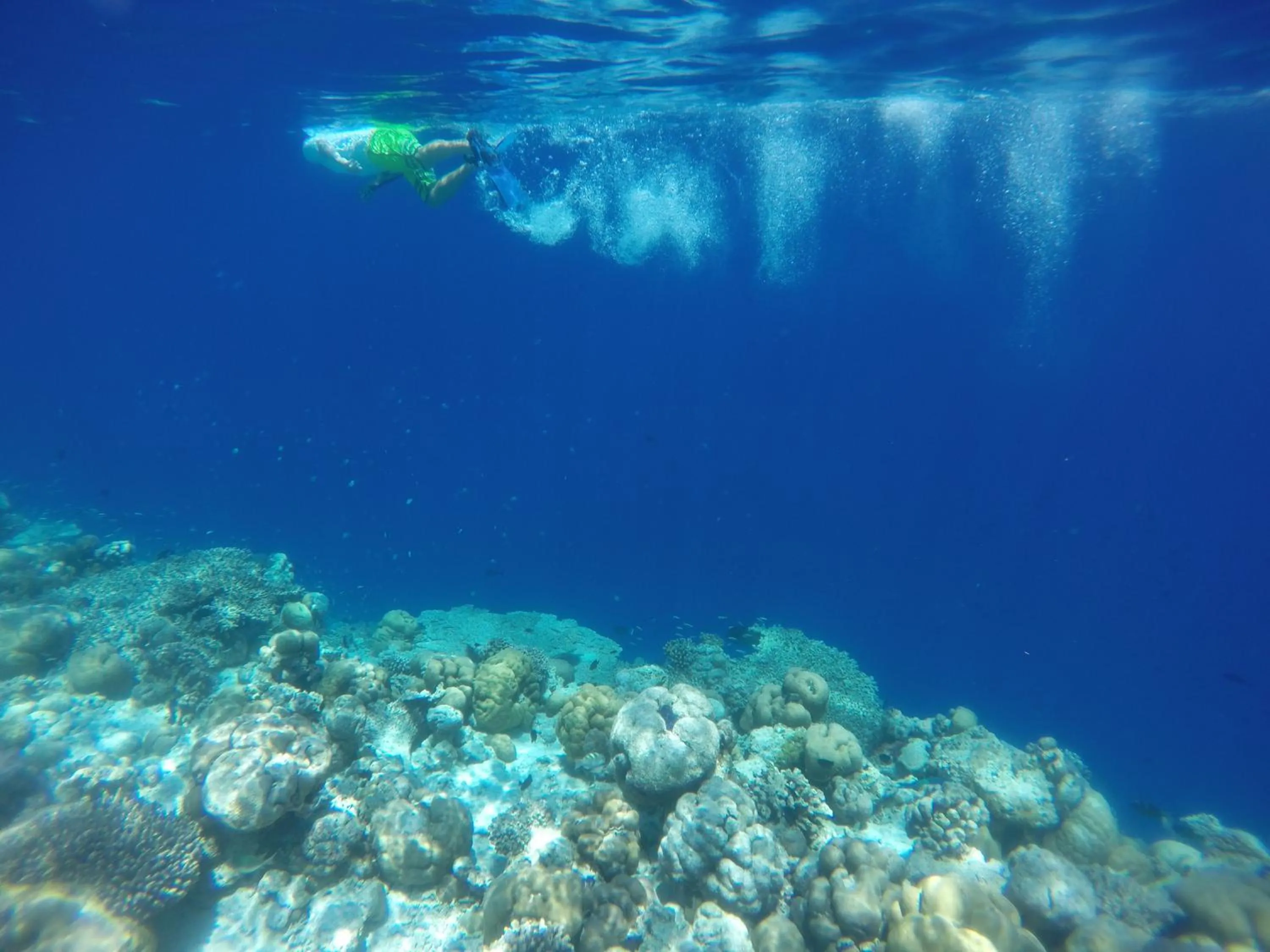 Snorkeling in Ithaa Inn Kamadhoo