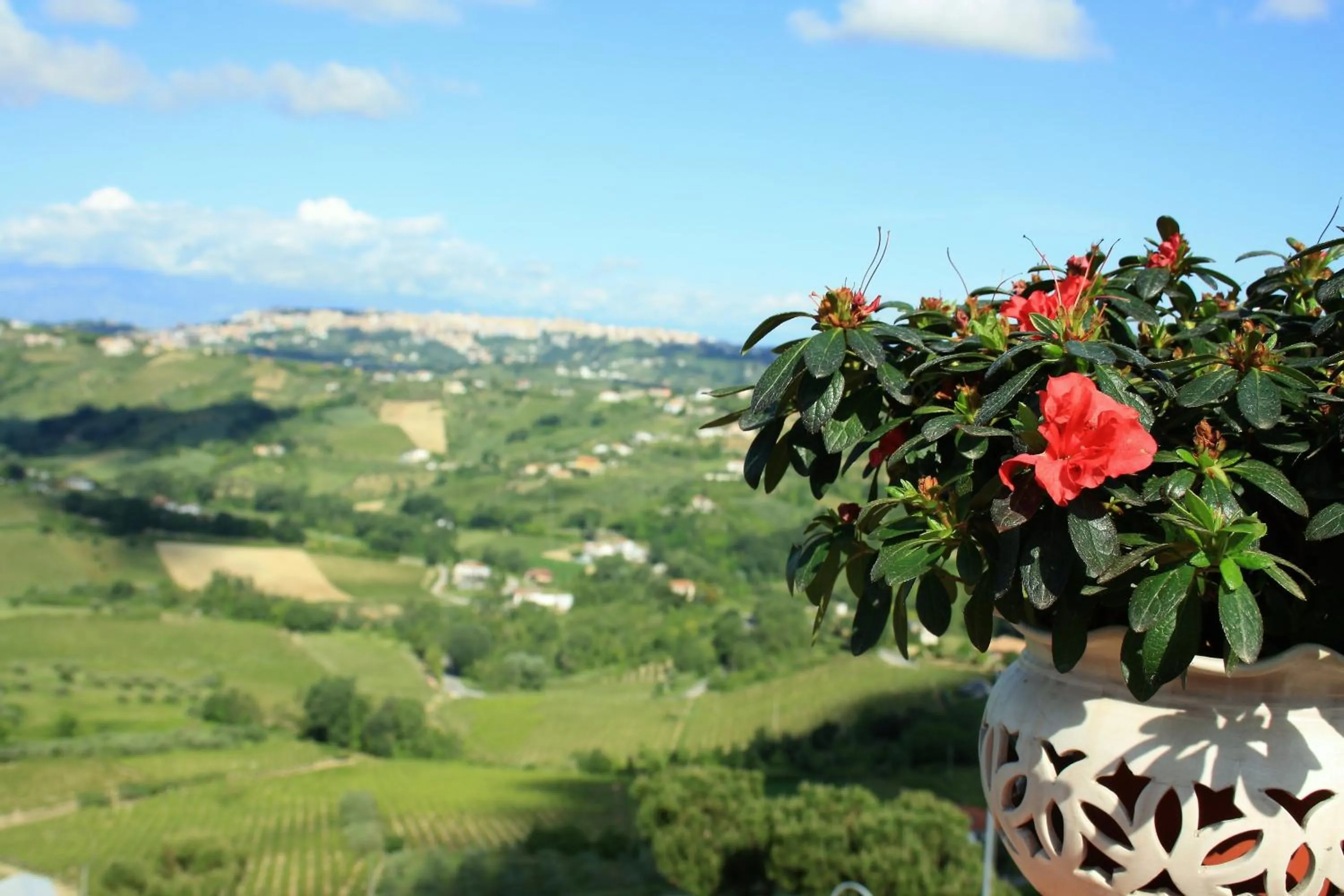 City view in B&B Villa Ciccone