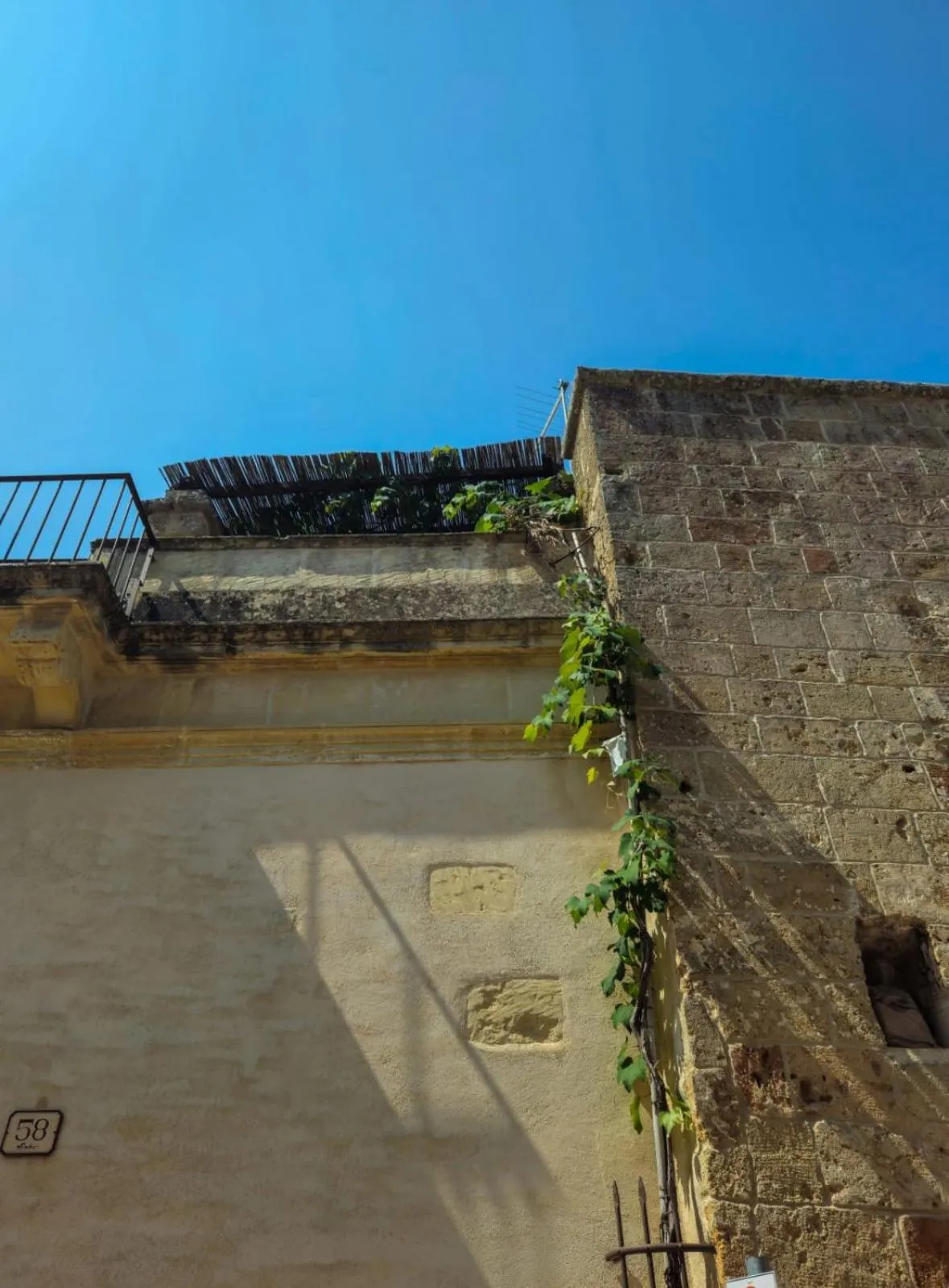 Property building in B&B Pergulea