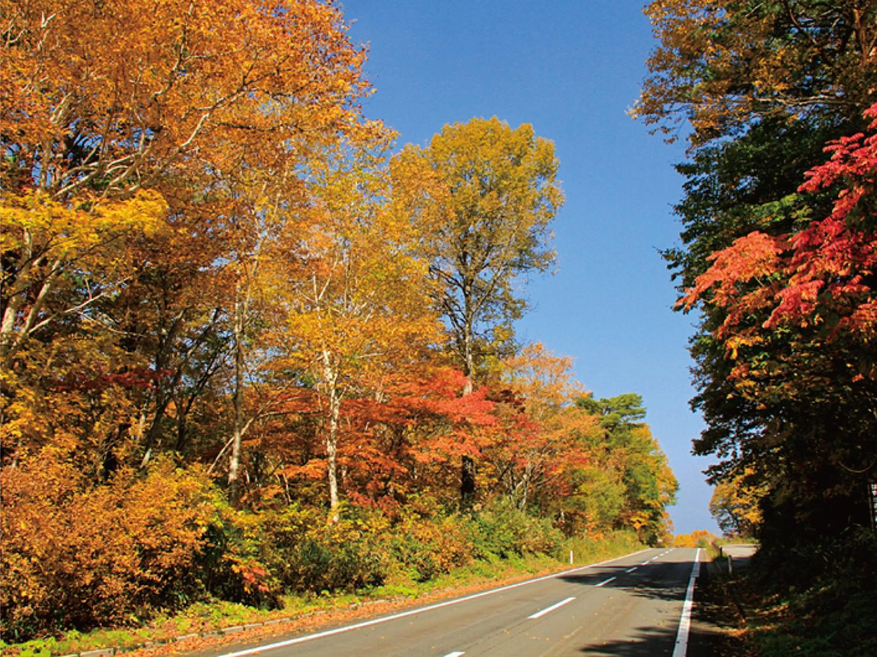 Nearby landmark in Villa Inawashiro