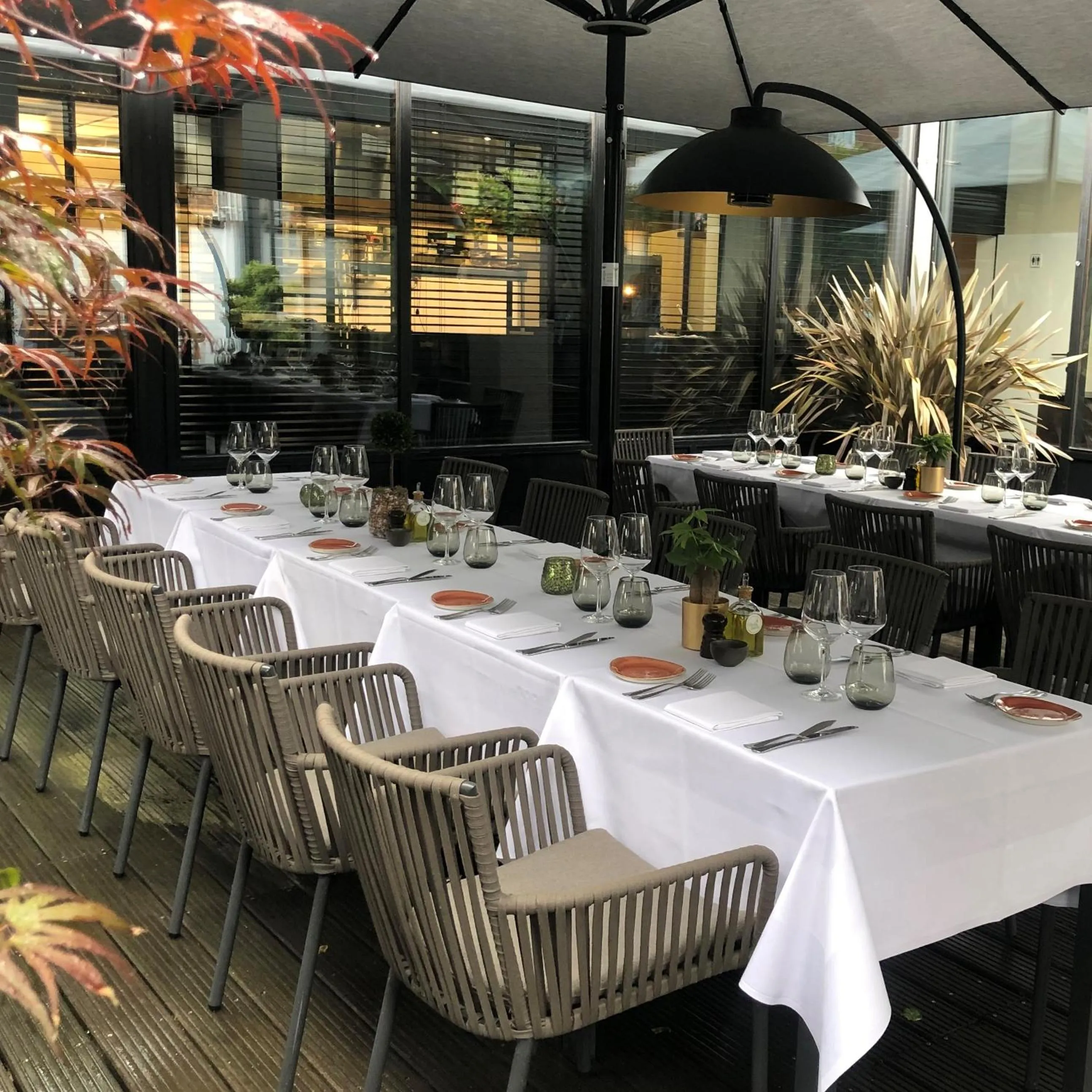 Restaurant/places to eat in Hotel Montanus