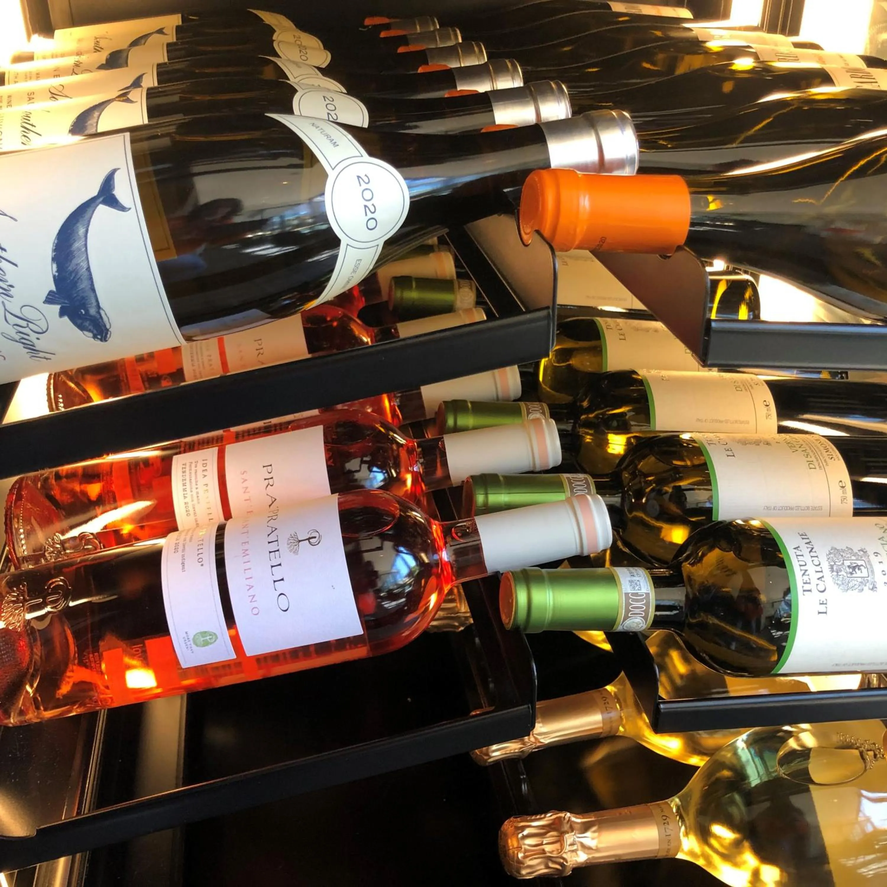 Restaurant/places to eat in Hotel Montanus