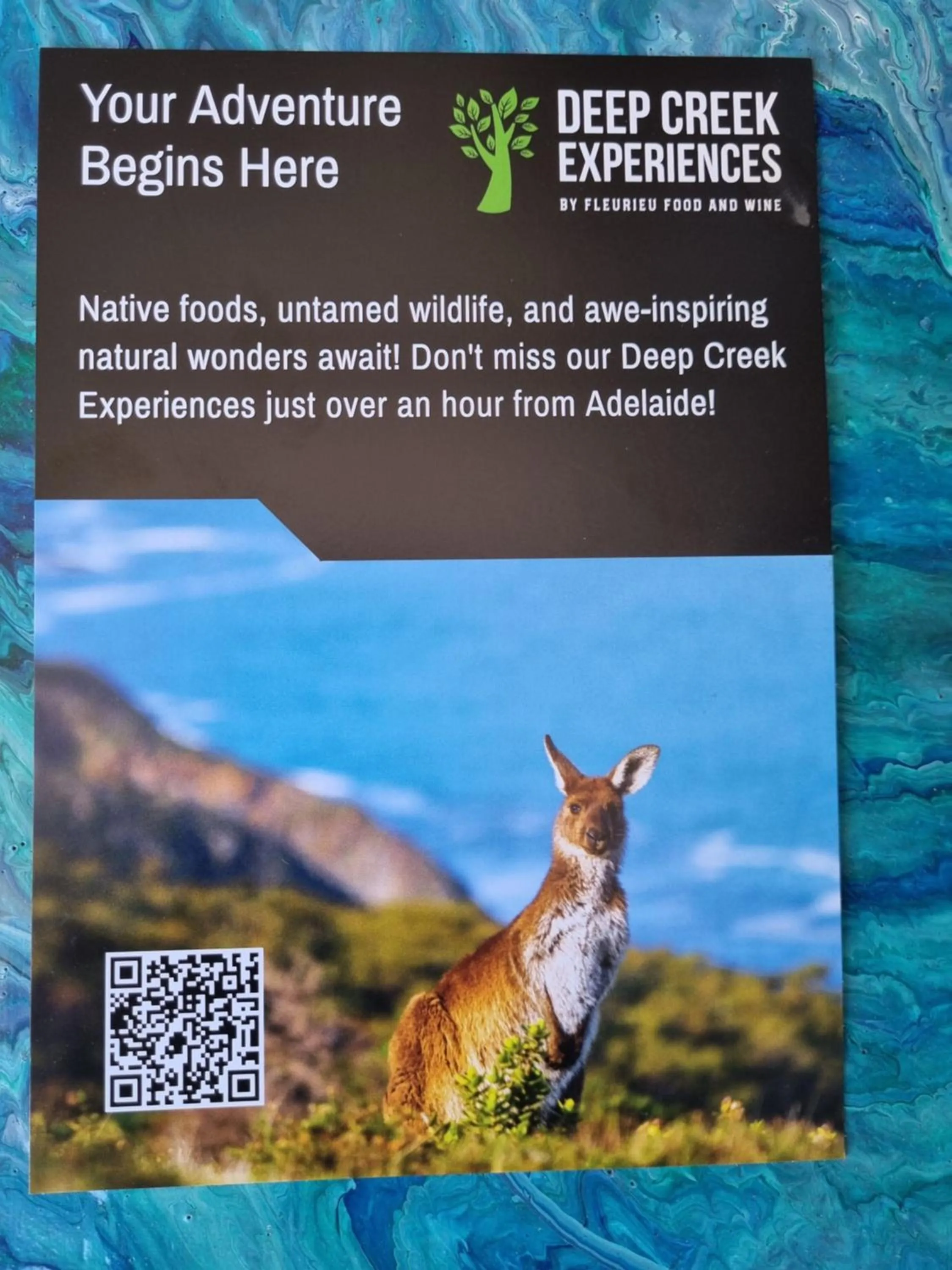 Seagrass Villas Normanville