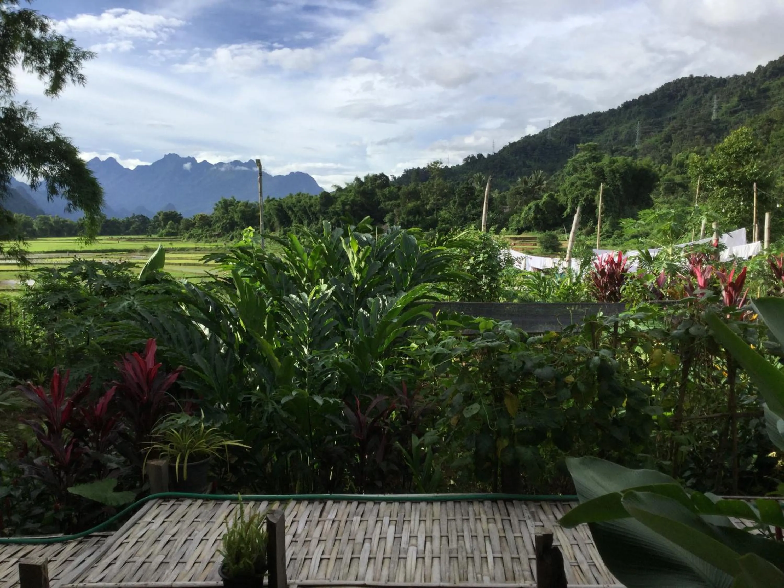Garden view in Phoxay Ngam Resort
