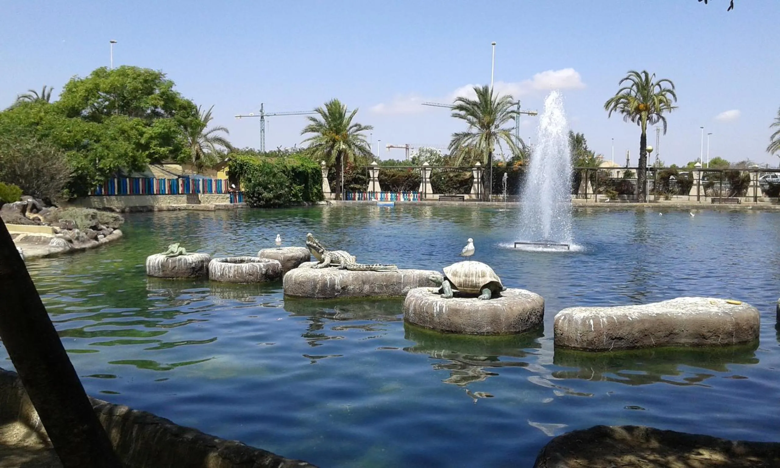 Area and facilities in Apartement à La Mata