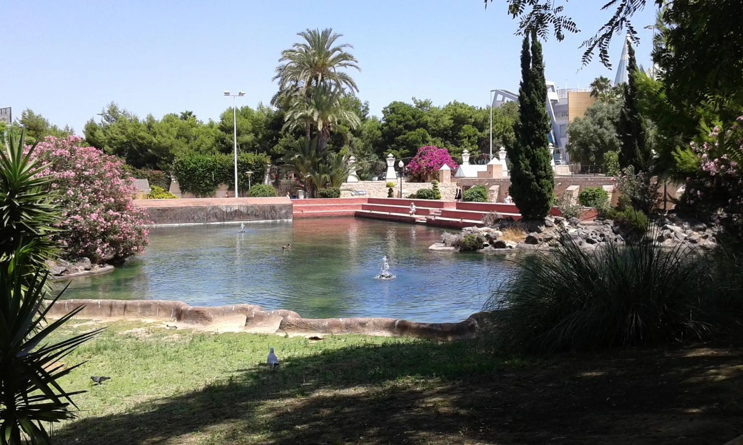 Area and facilities in Apartement à La Mata
