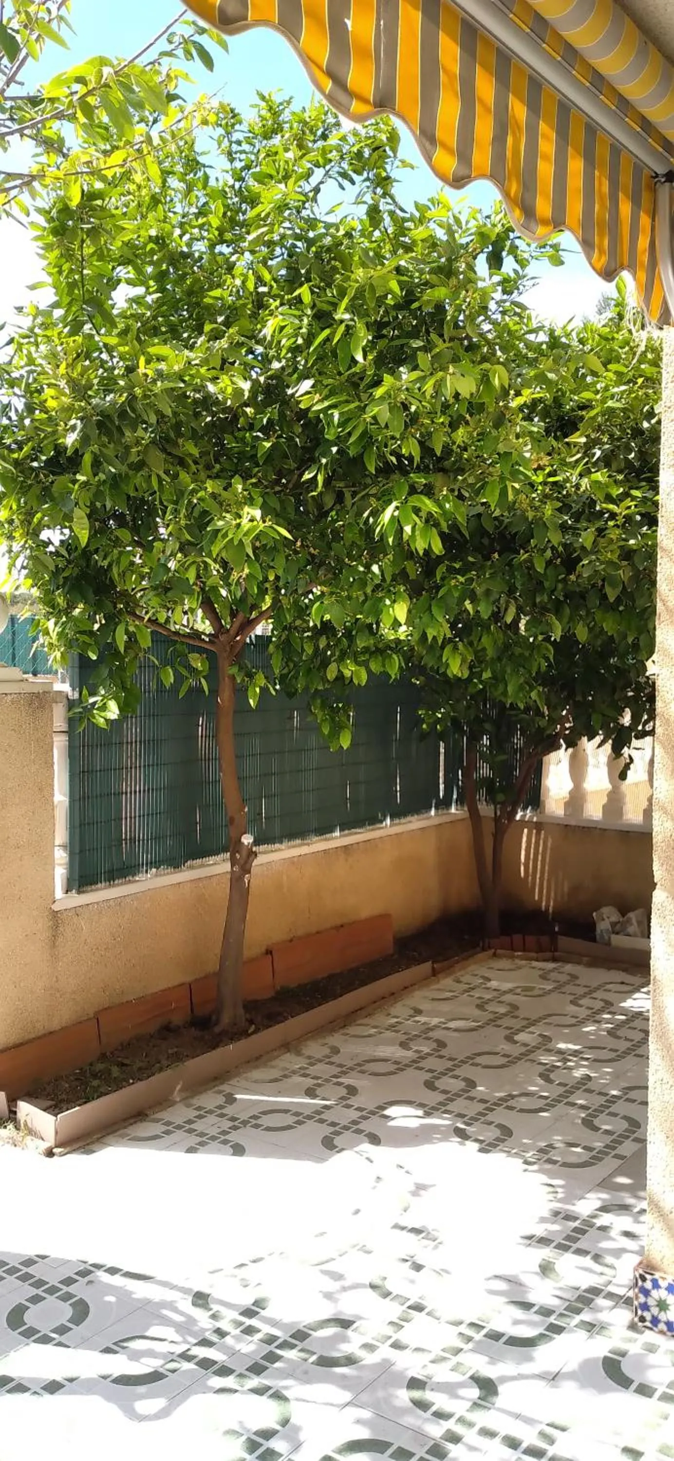Patio in Apartement à La Mata