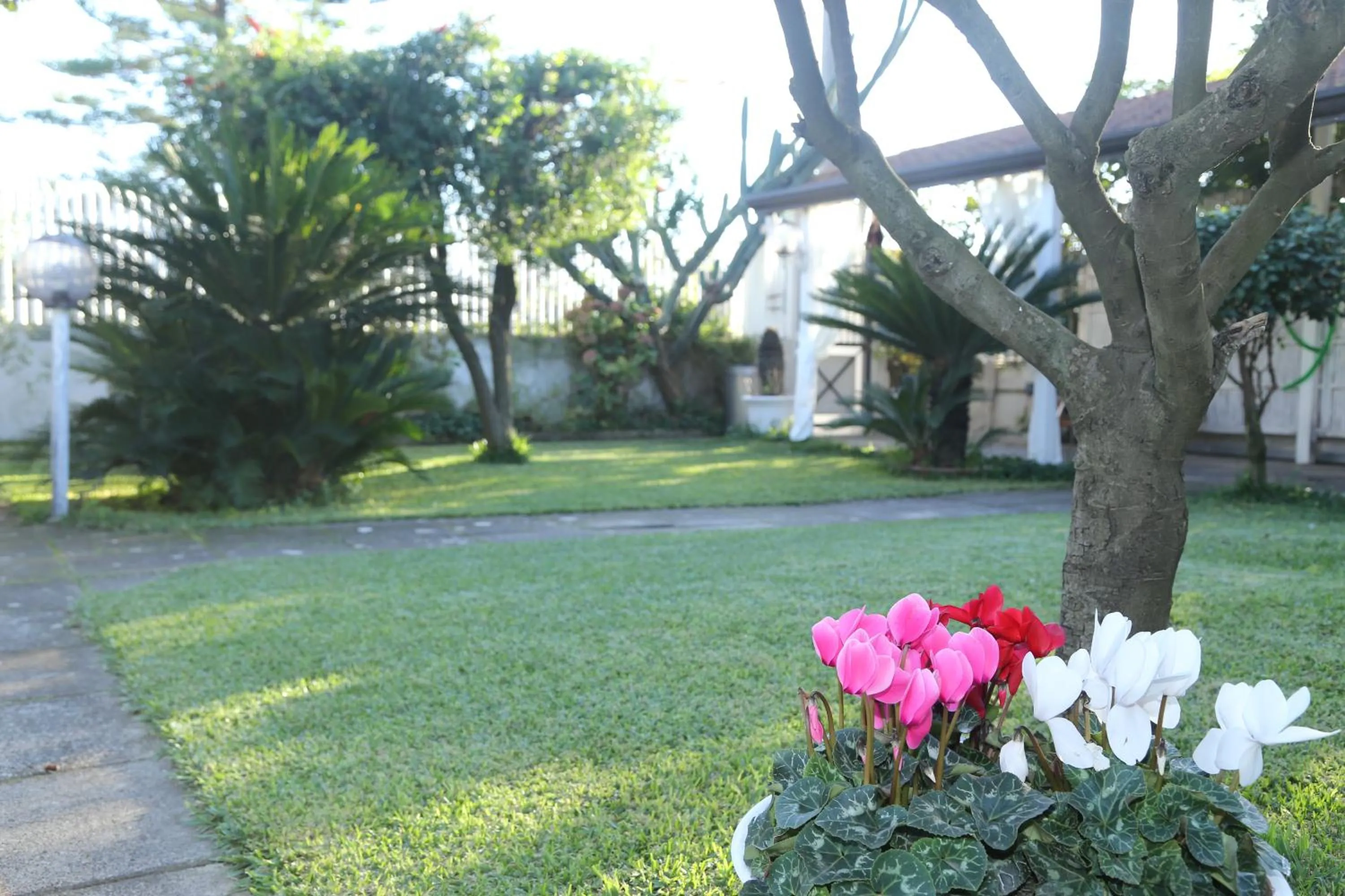 Garden view in B&B Maison Blanche