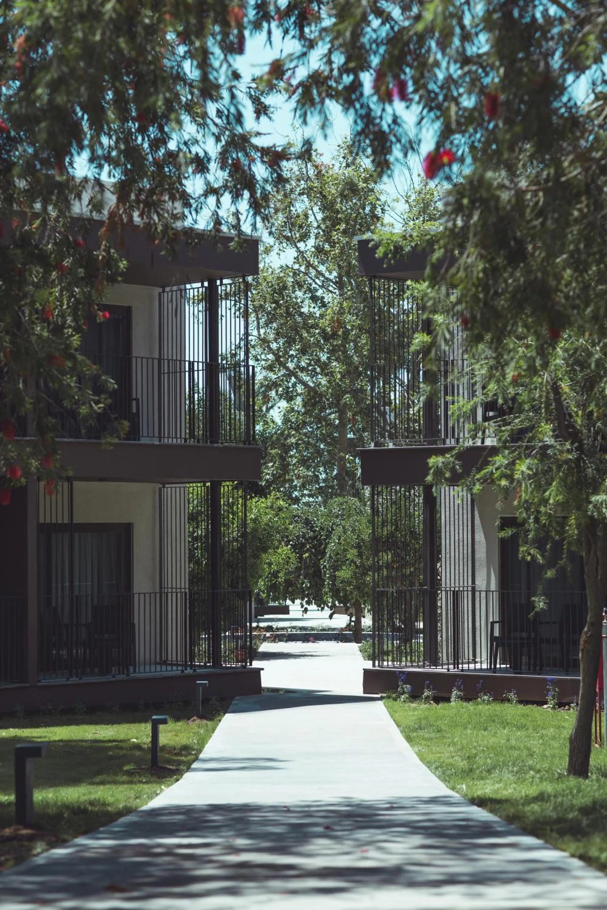 Property building in Paloma Orenda