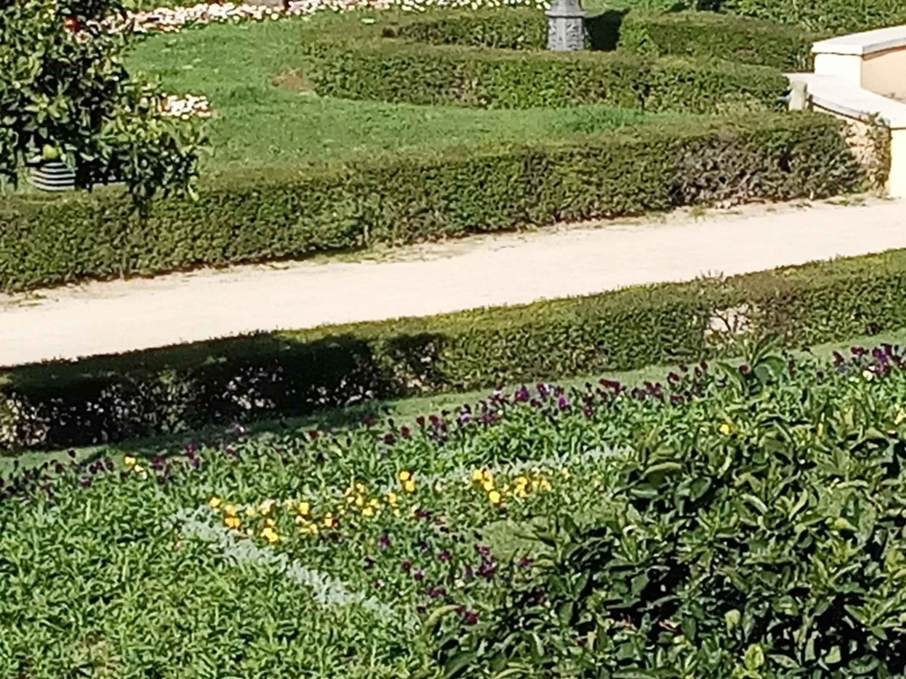 Garden view in Family Adams House Hostel