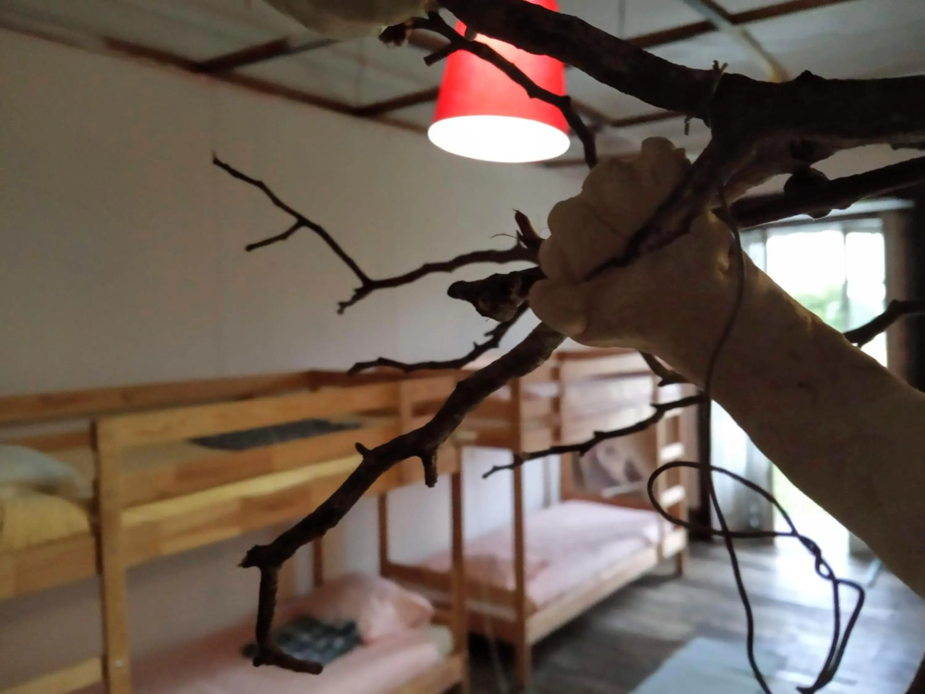 Decorative detail in Family Adams House Hostel