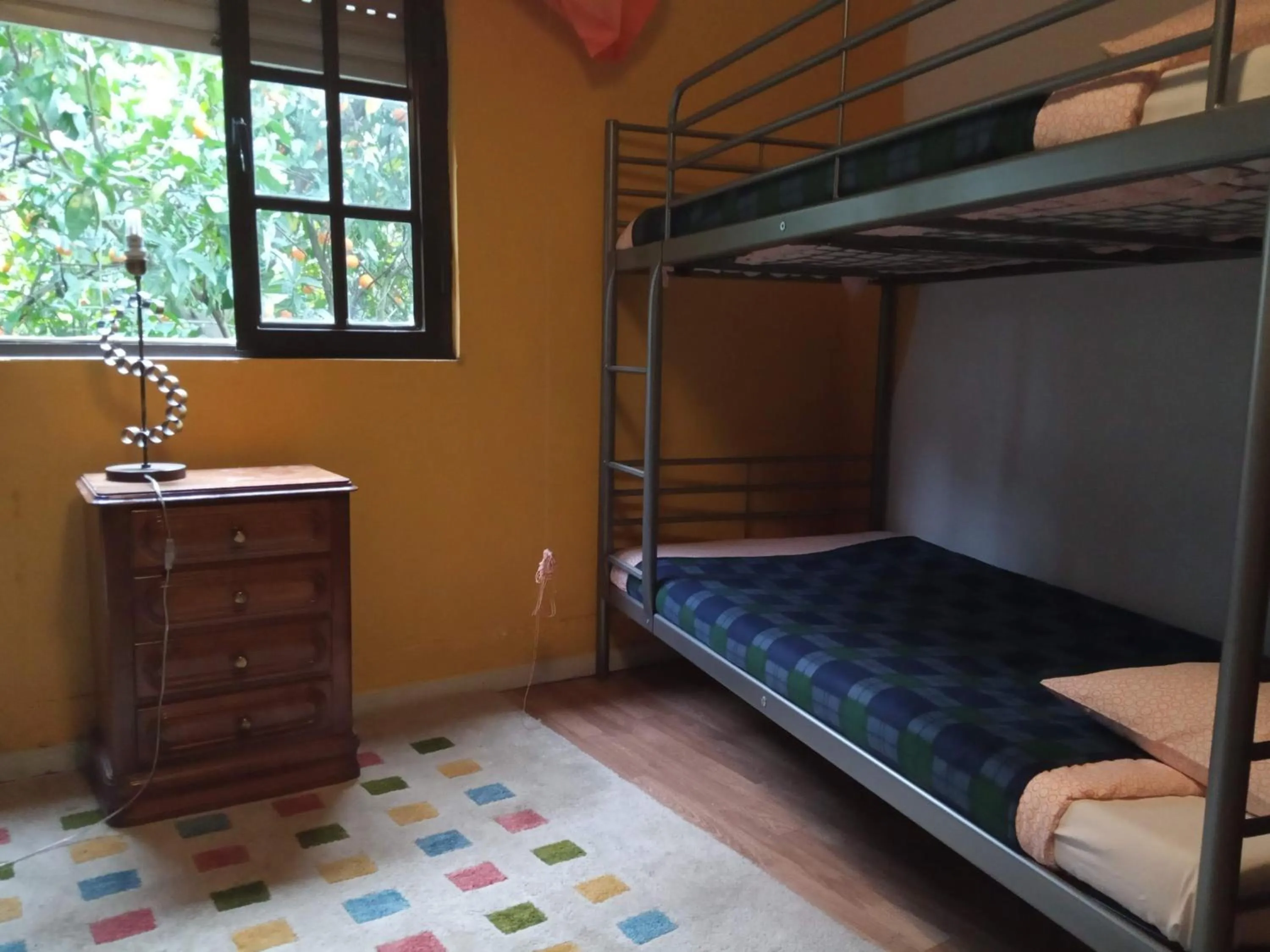 Photo of the whole room in Family Adams House Hostel