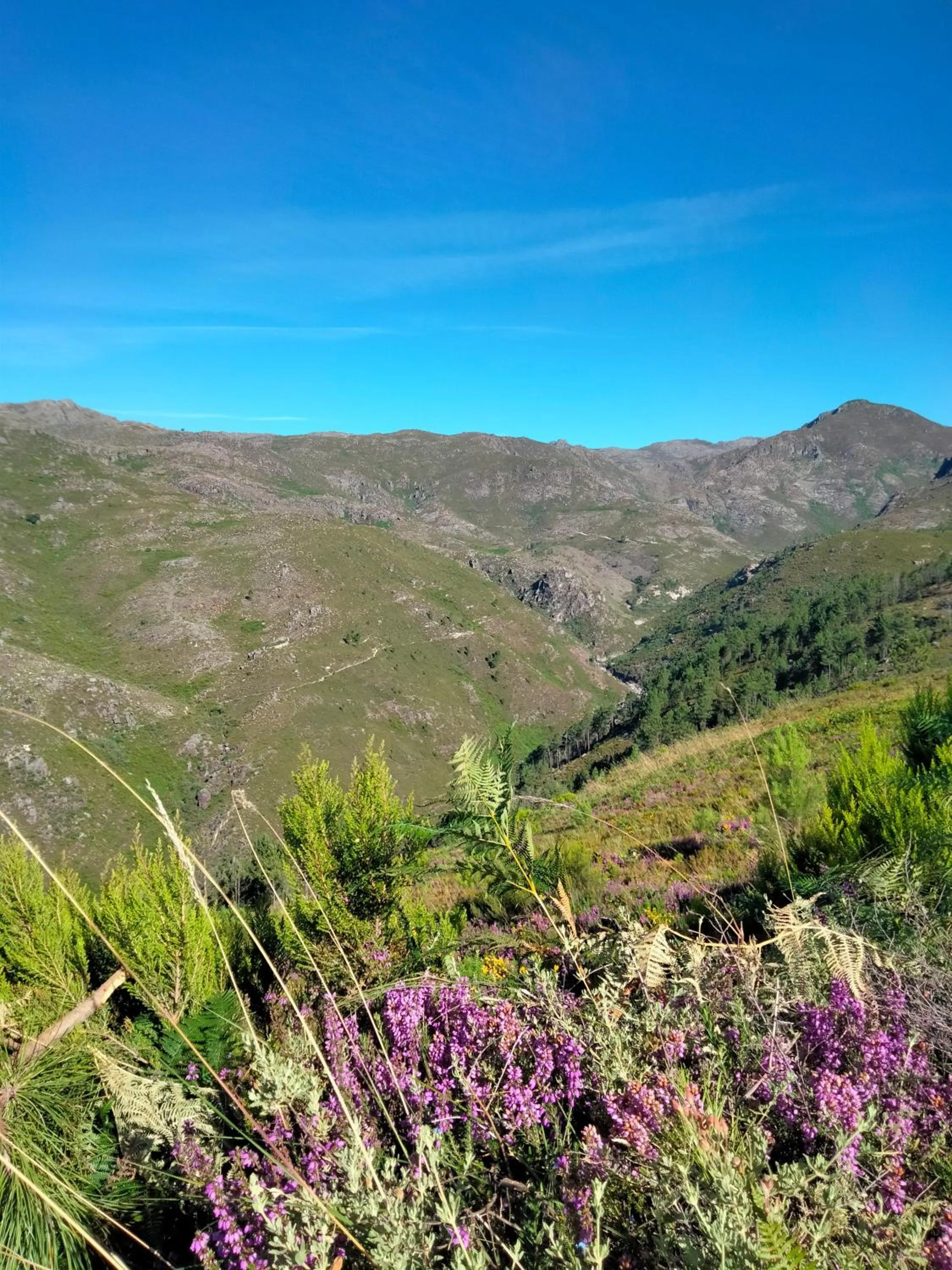 Hiking in Family Adams House Hostel