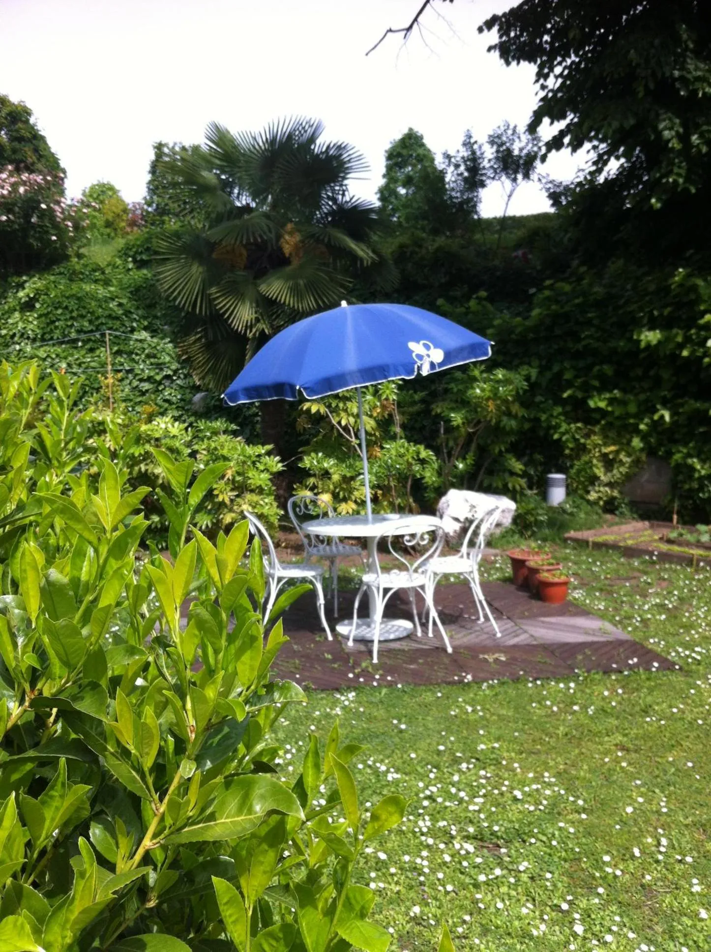 Garden in B&B via Roma