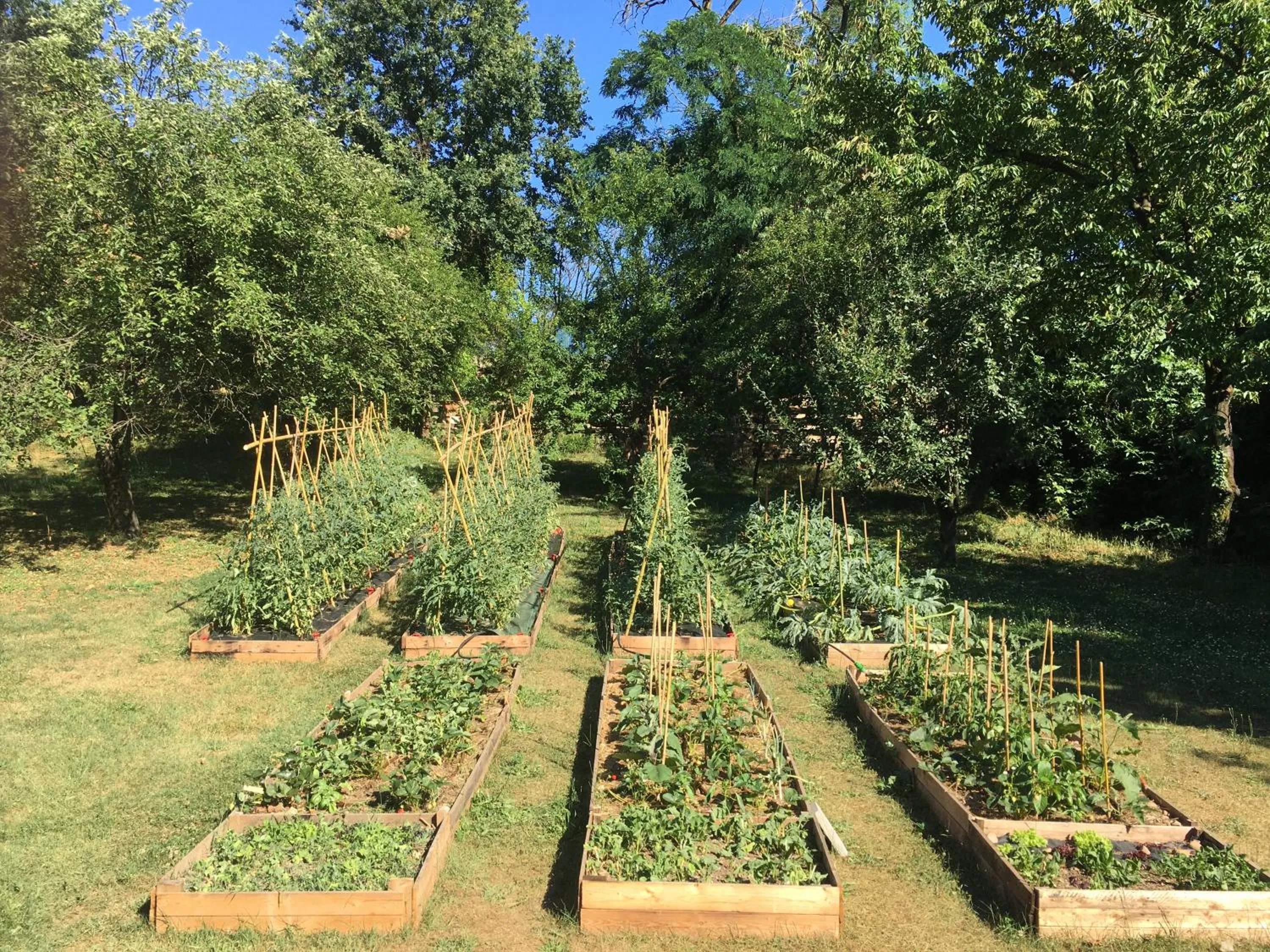 Garden in B&B via Roma